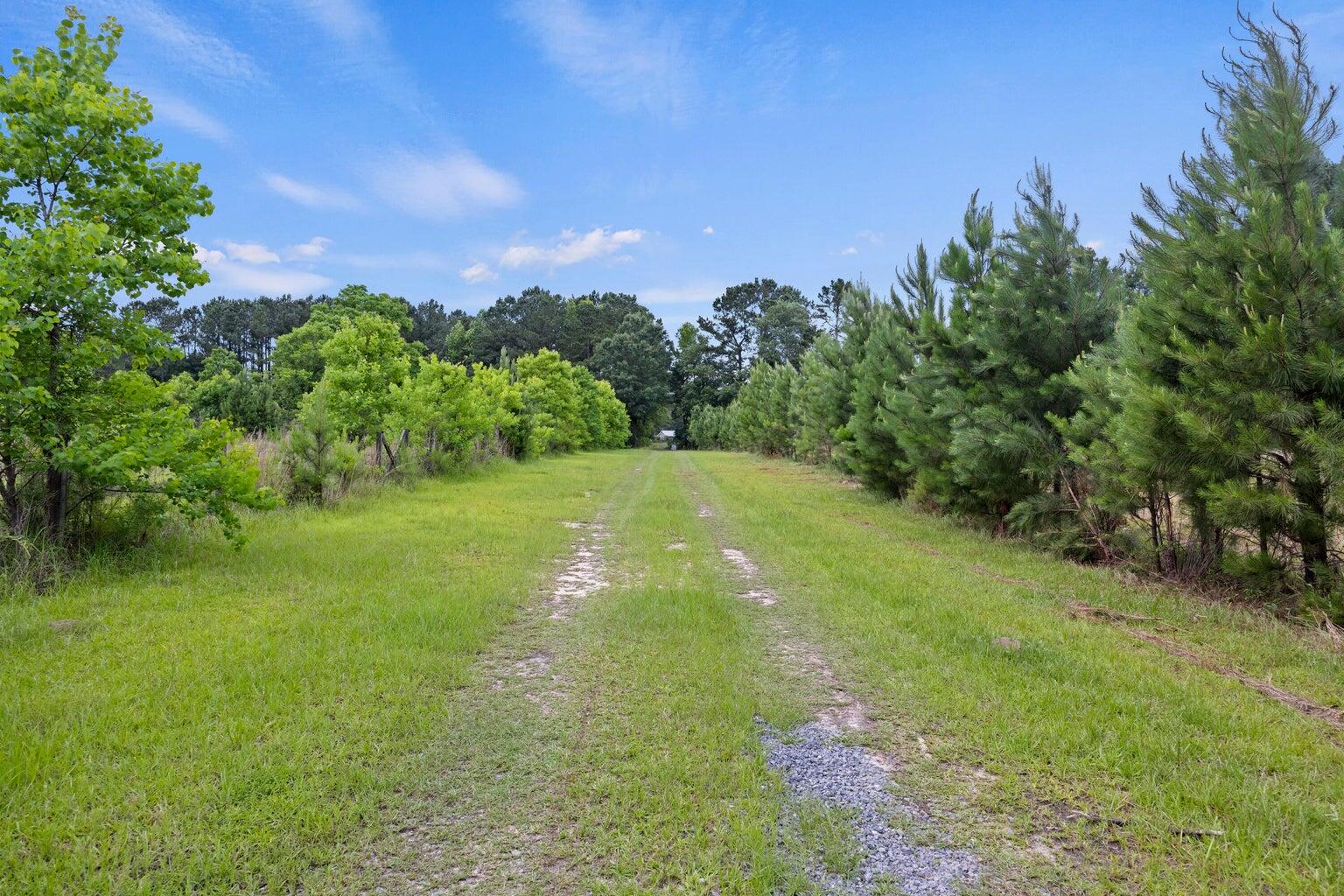 191 Marion Woods Trail