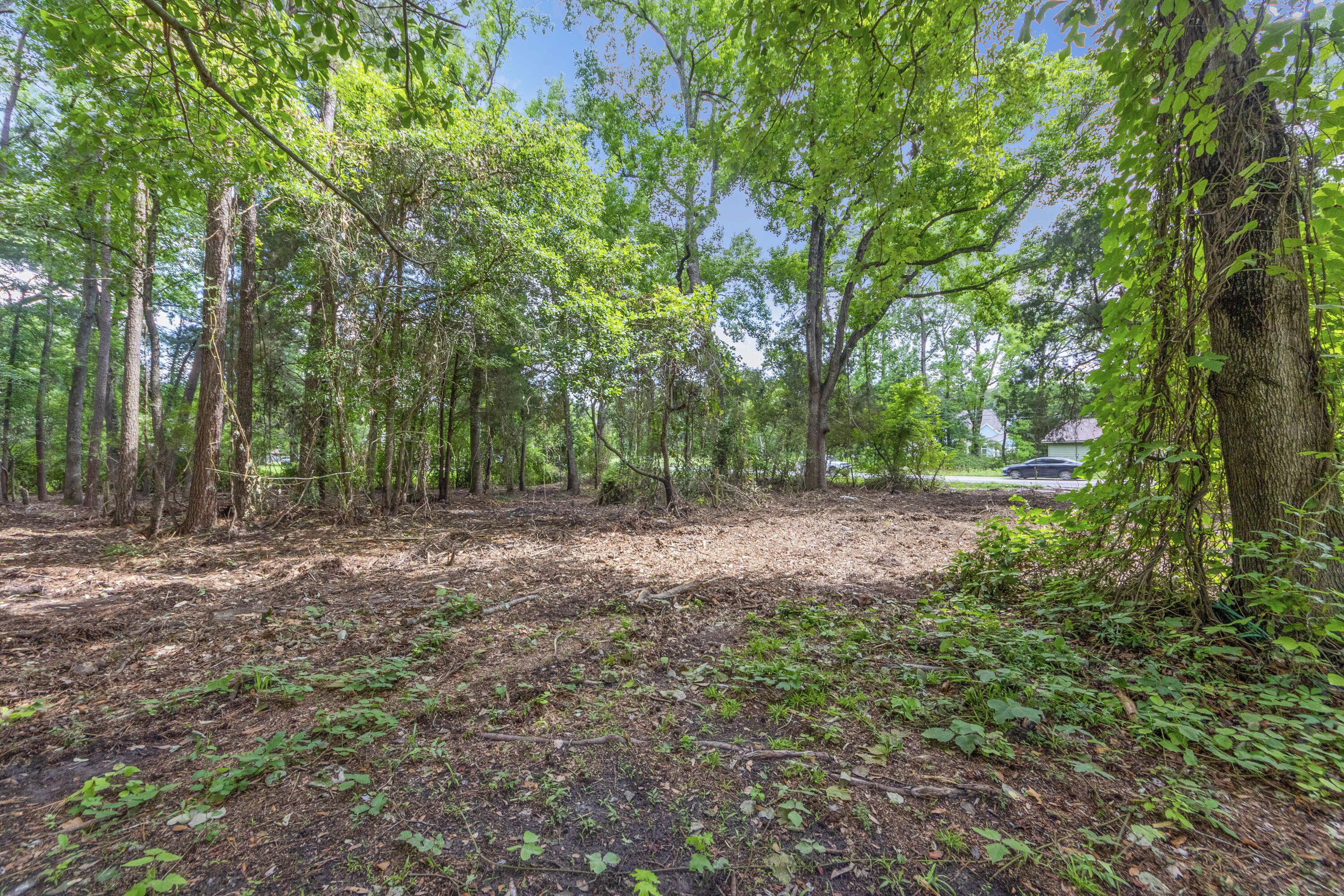 810 Orangeburg Road
