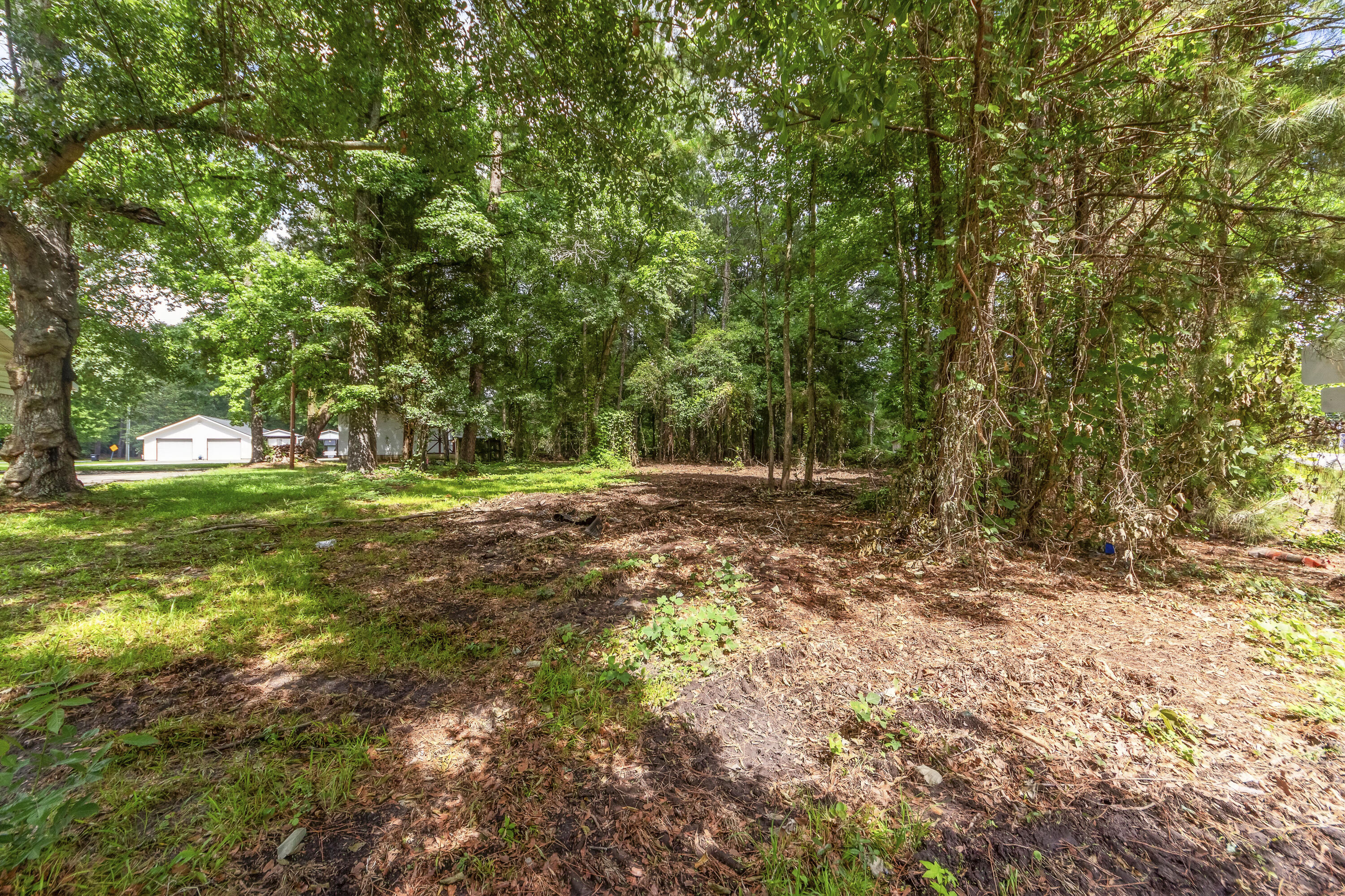 810 Orangeburg Road