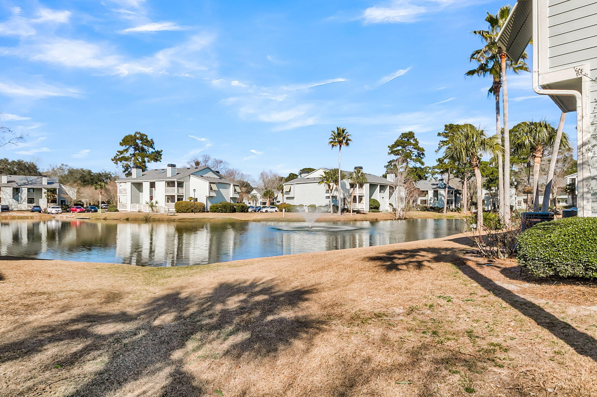 1481 Center Street Ext Apt 504