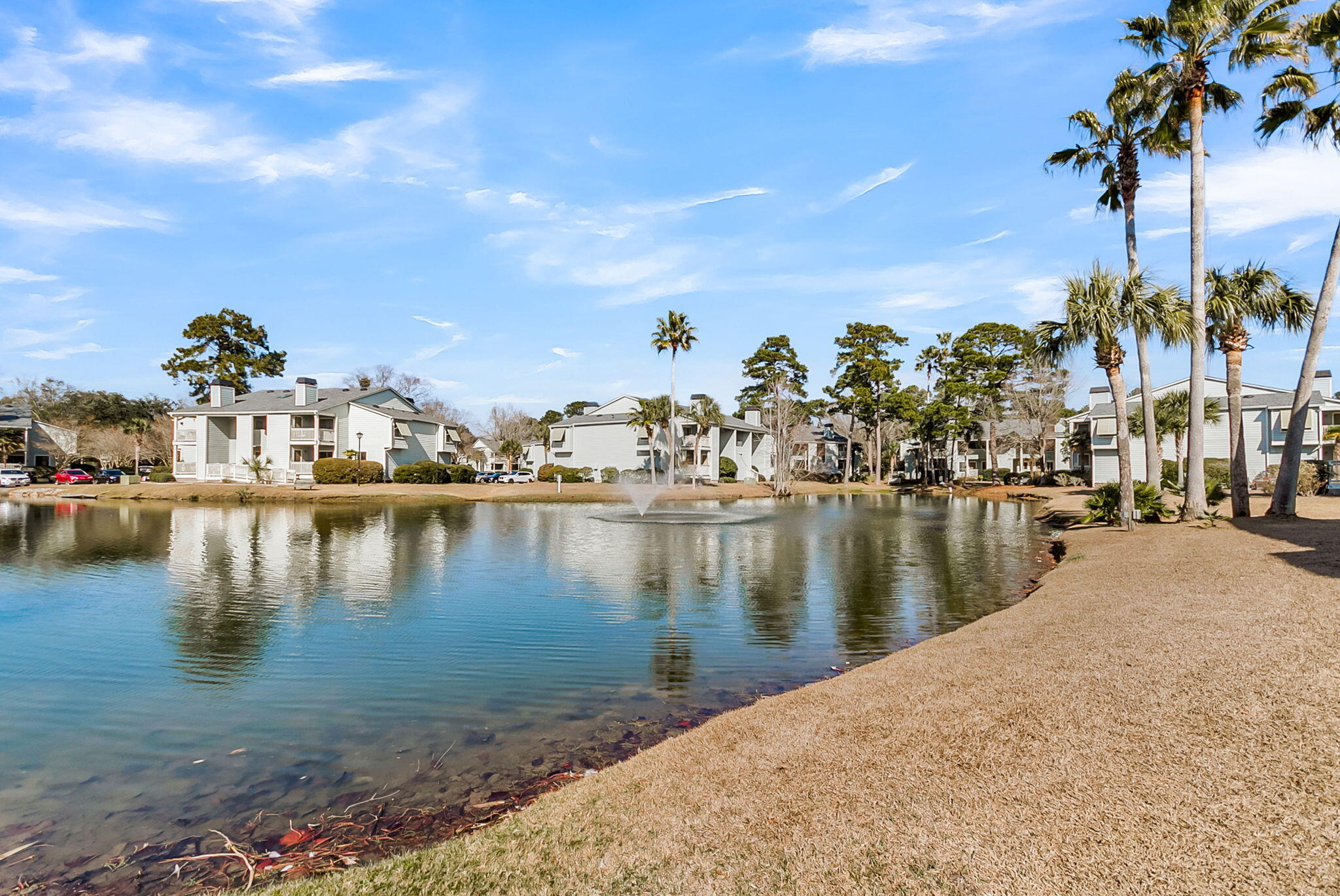 1481 Center Street Ext Apt 504