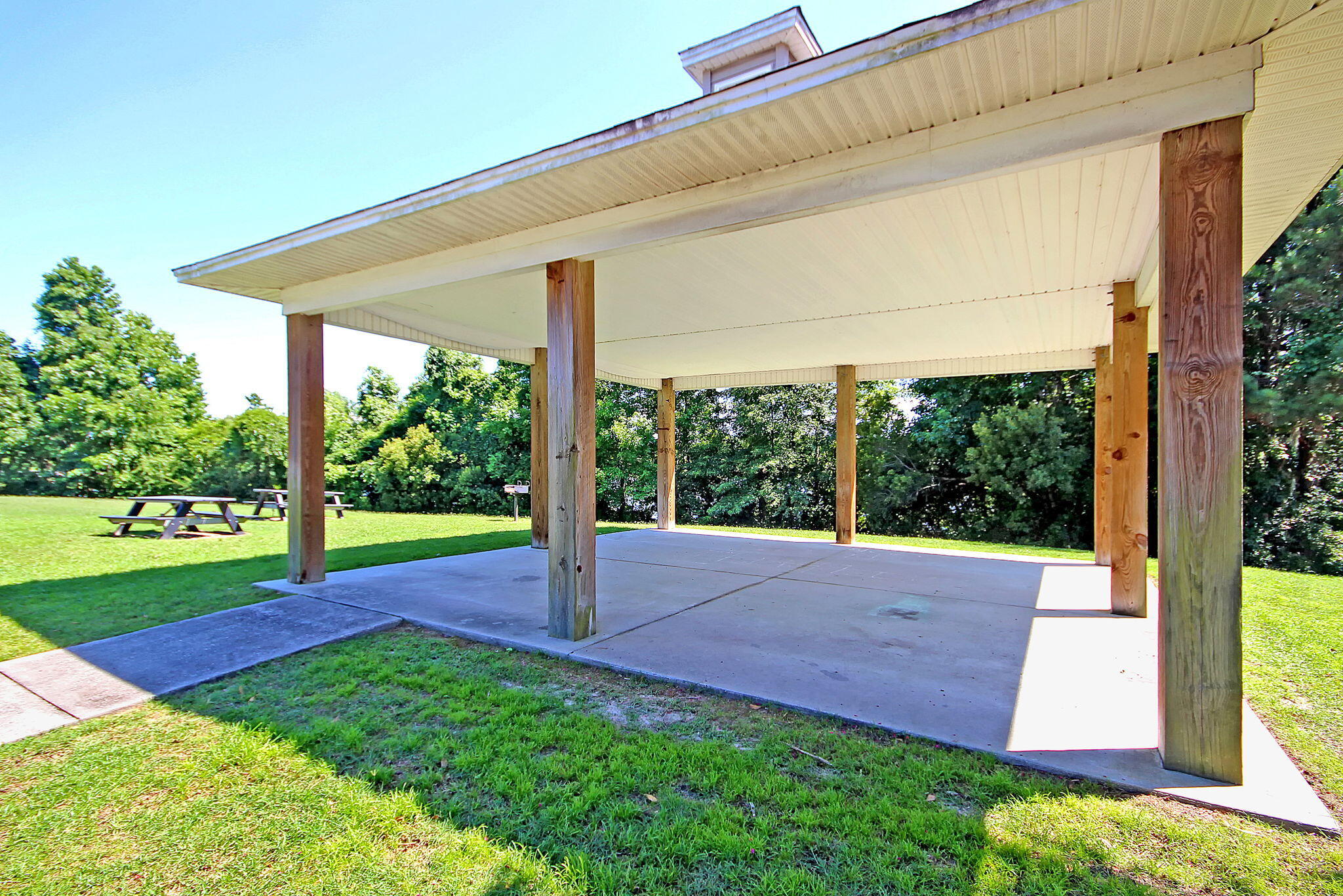 405 Bear Tree Court