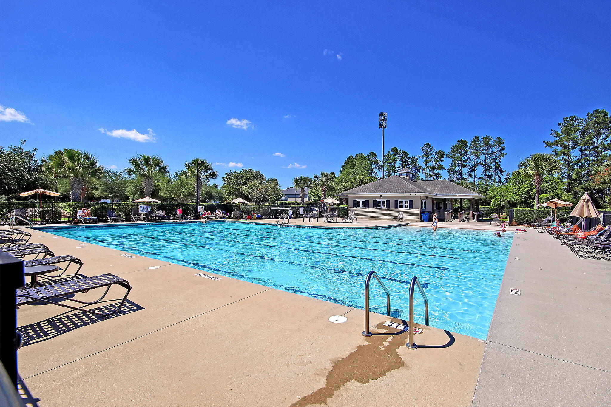 405 Bear Tree Court