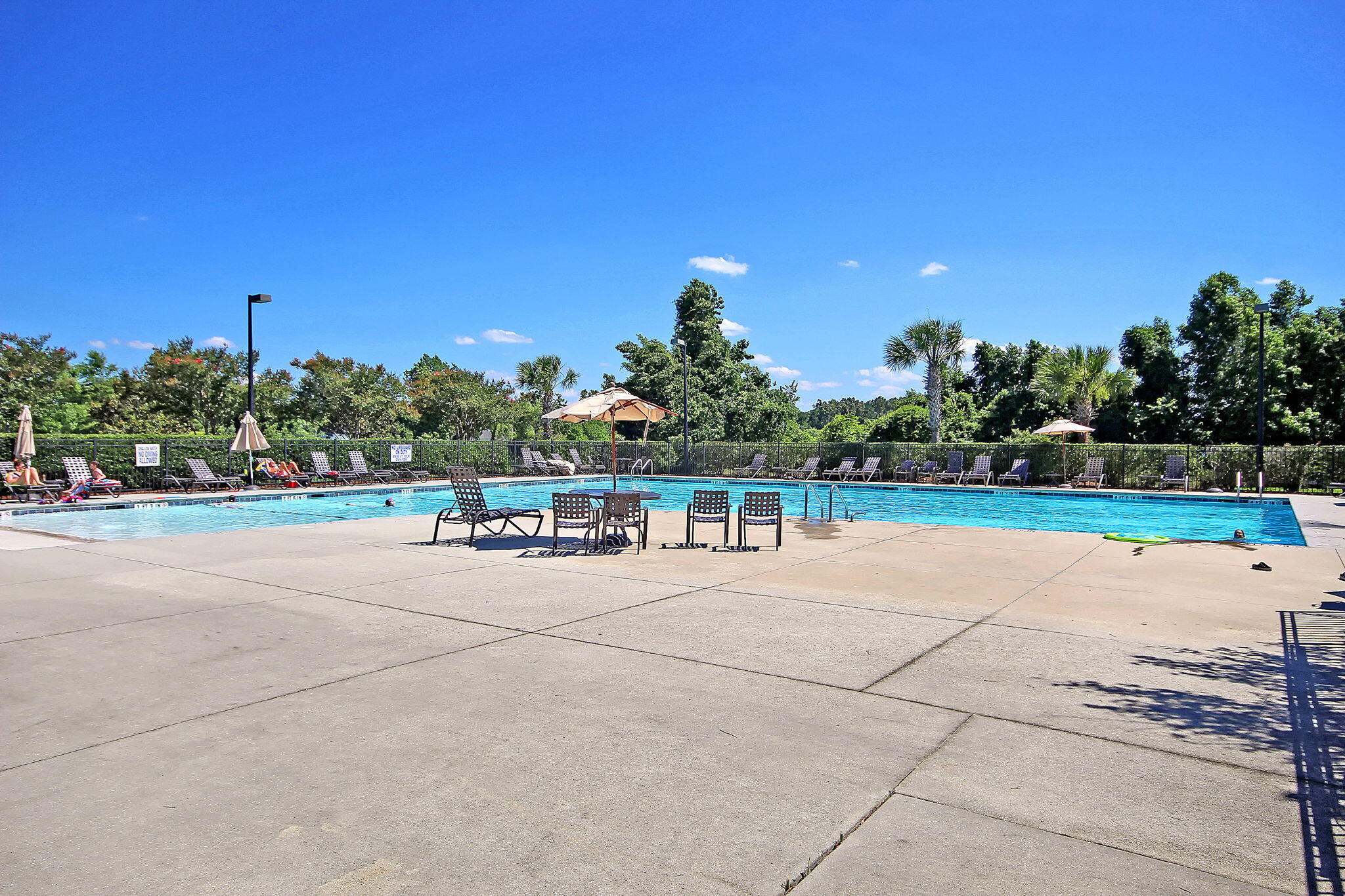 405 Bear Tree Court
