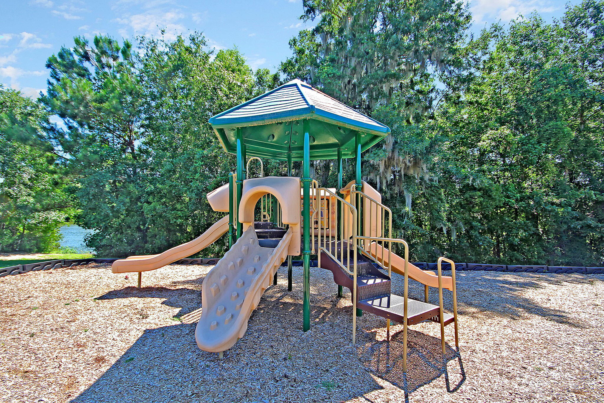 405 Bear Tree Court