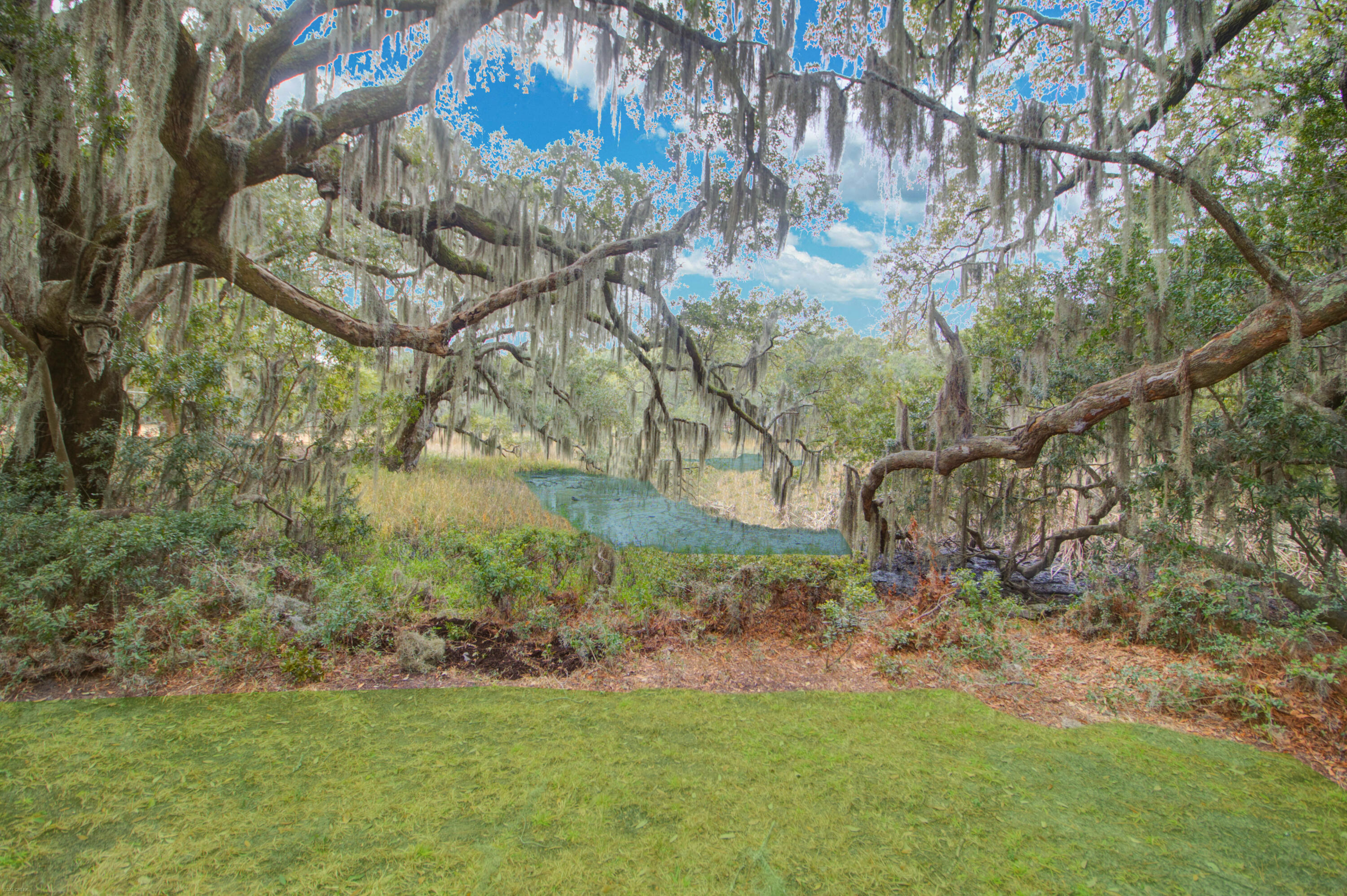 867 Parrot Creek Way