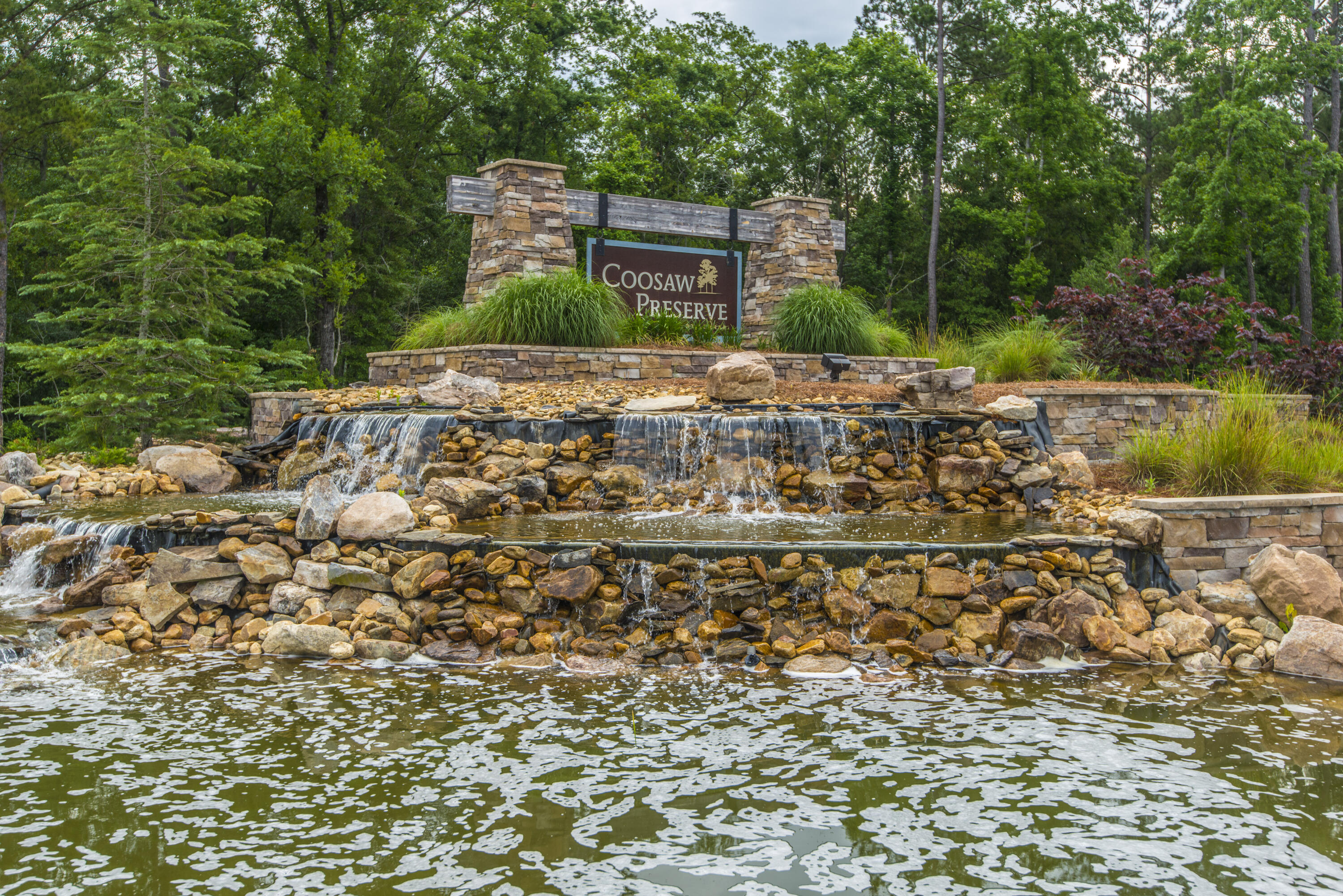 9931 Winged Elm Street