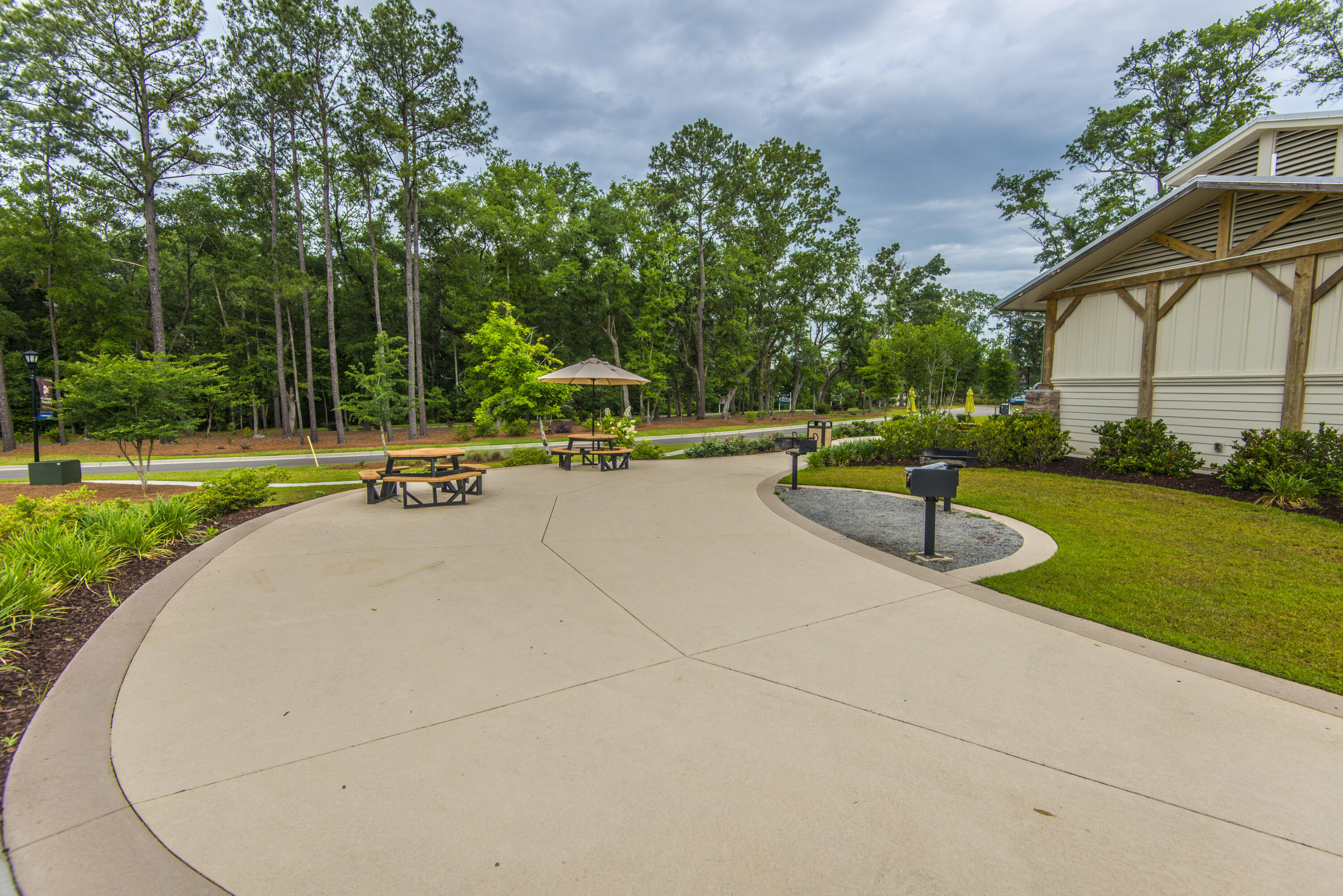 9931 Winged Elm Street