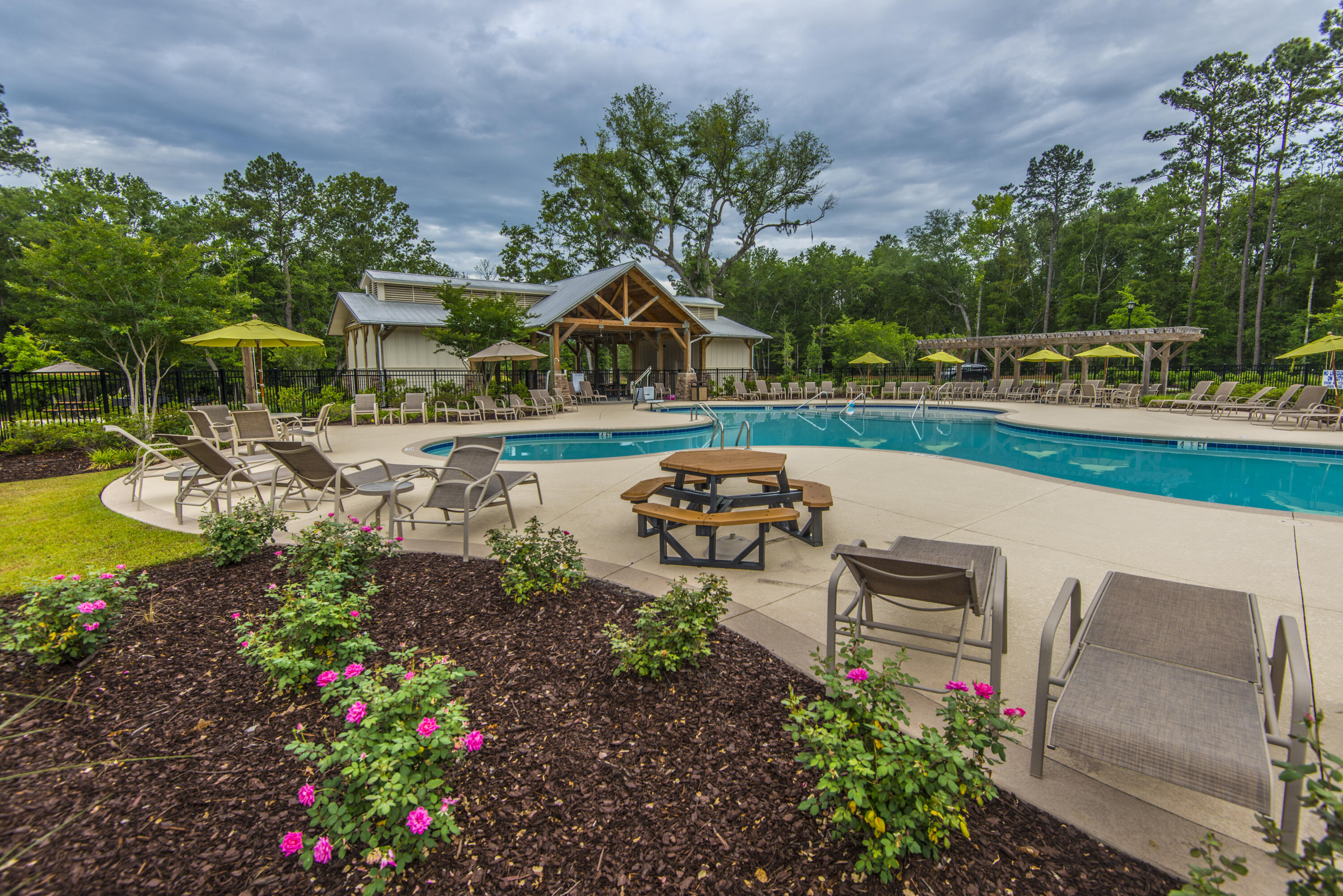 9931 Winged Elm Street