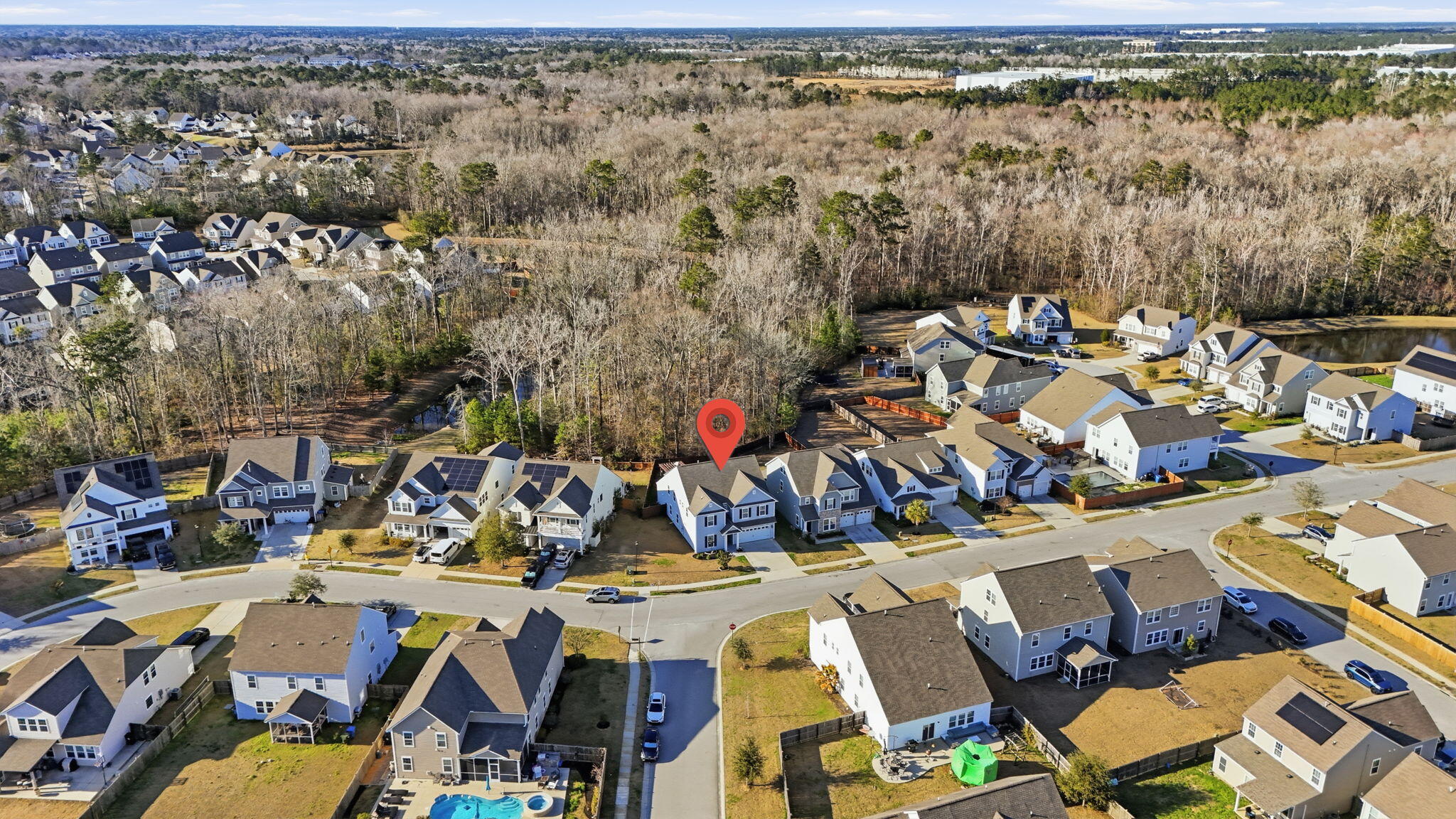 9931 Winged Elm Street