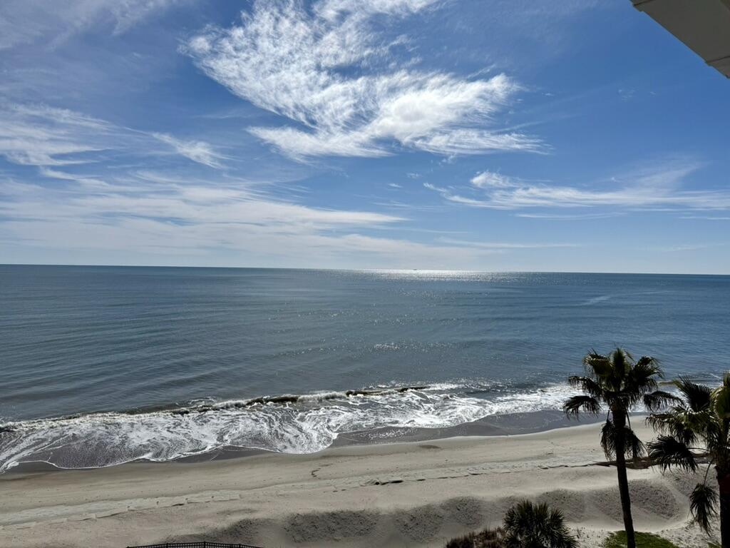 9002 Palmetto Drive # 517