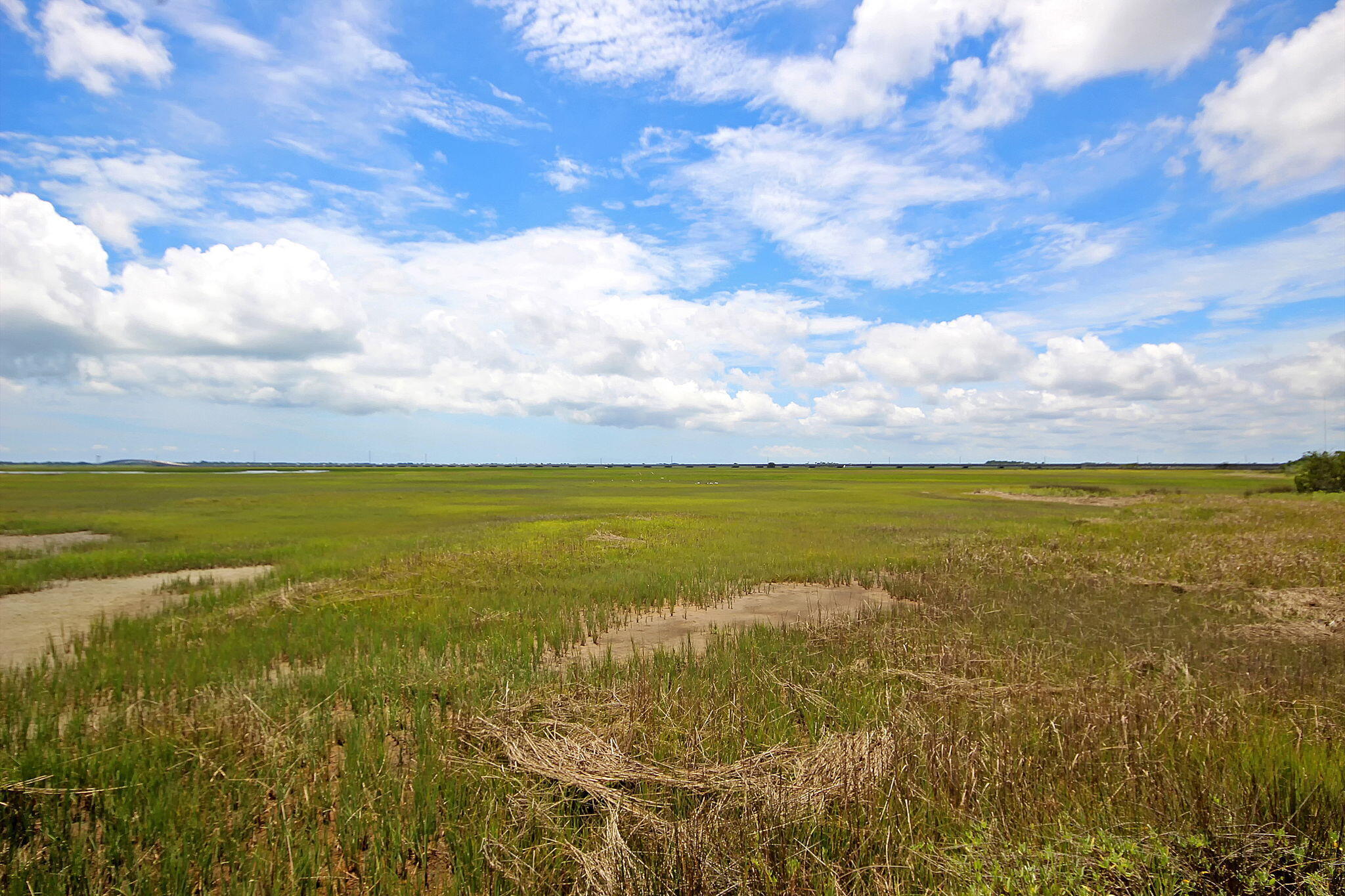 1618 Fort Palmetto Circle