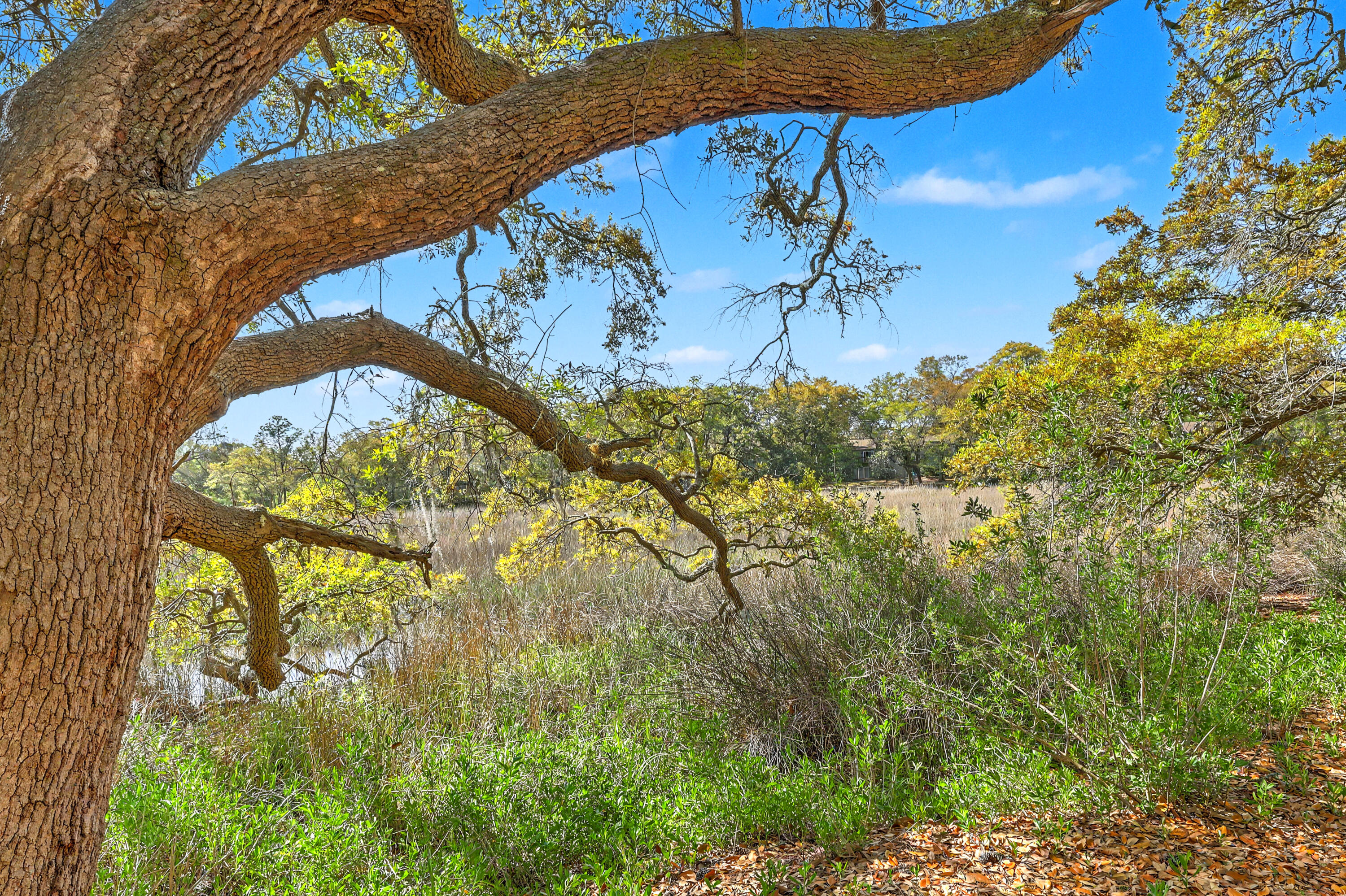 23 Brockman Drive Unit C Unit: Unit 23-C