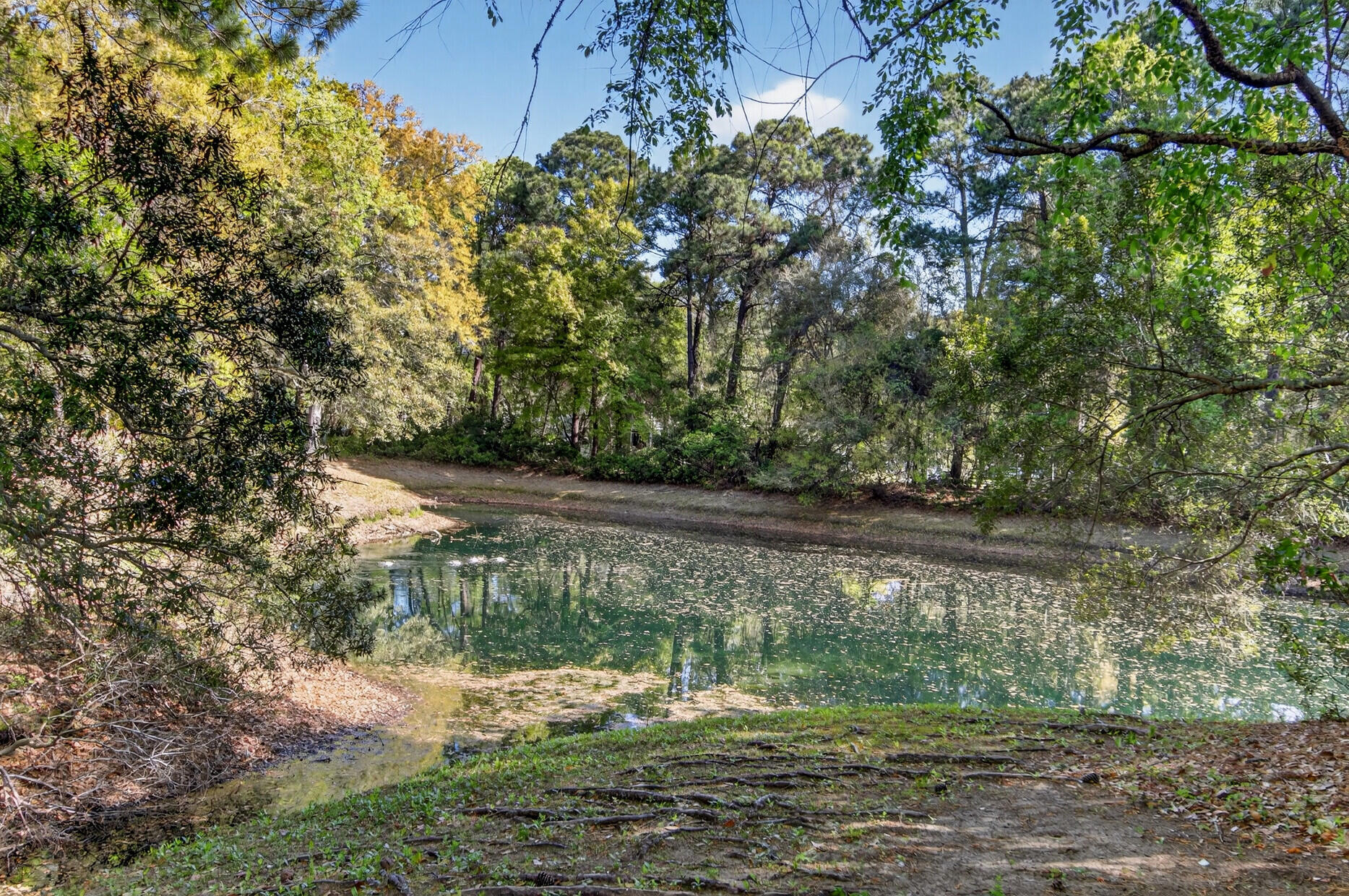 486 Planters Trace Drive