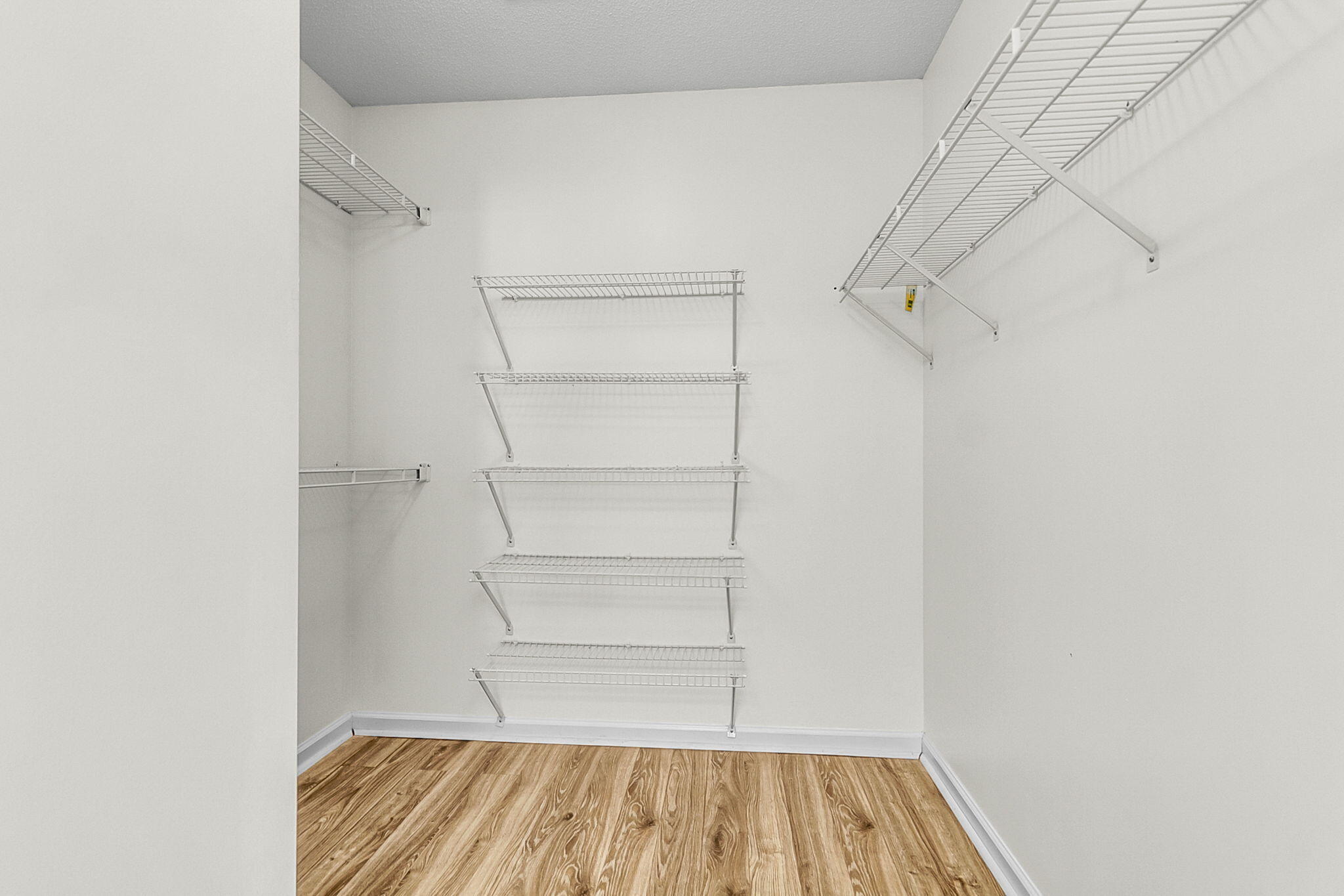 113 Waddington Trace