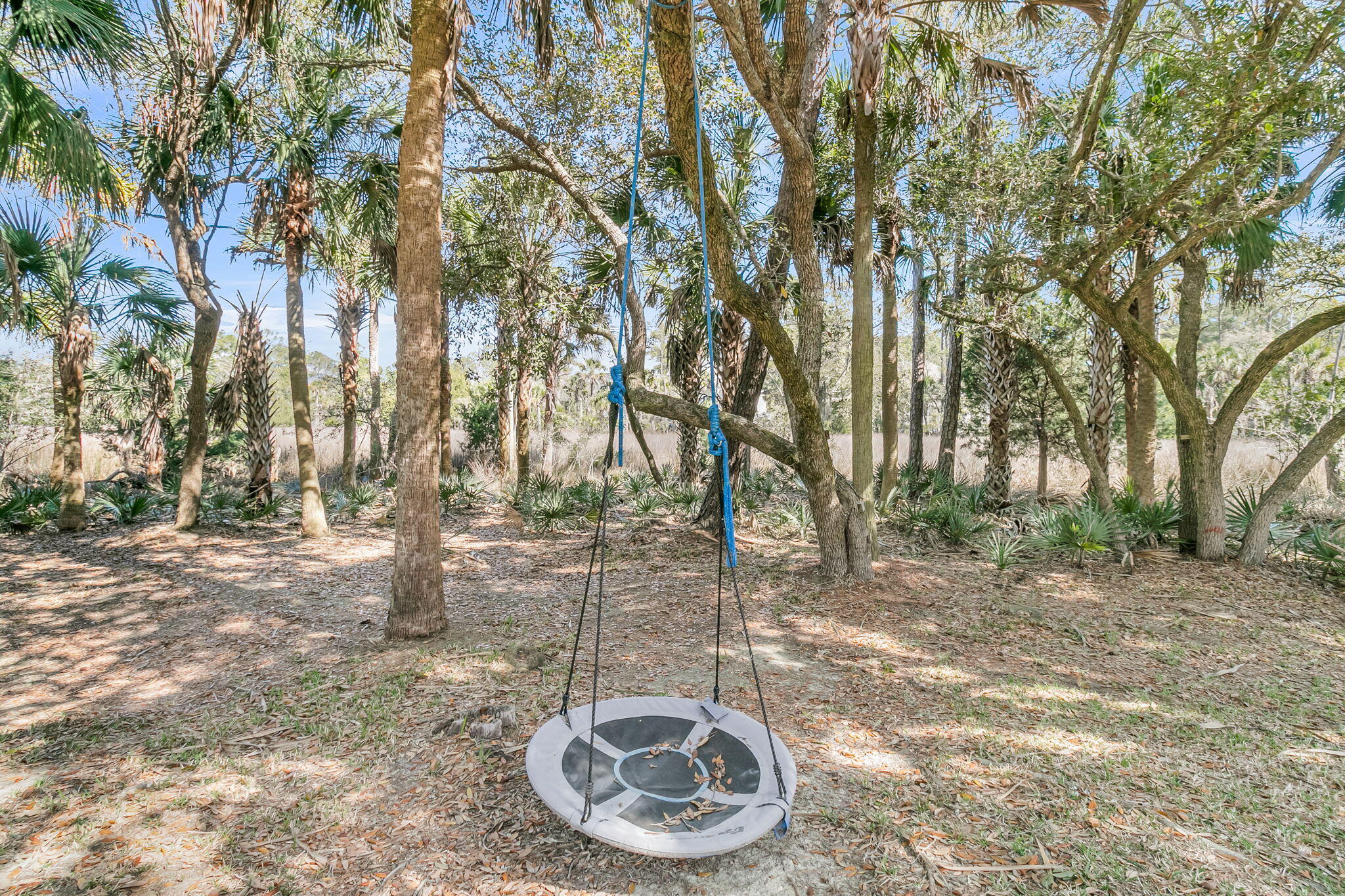 1440 Deer Walk Court