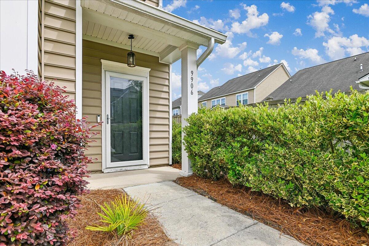 9906 Winged Elm Street