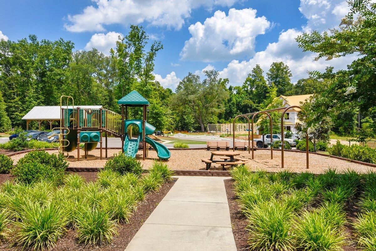 9906 Winged Elm Street