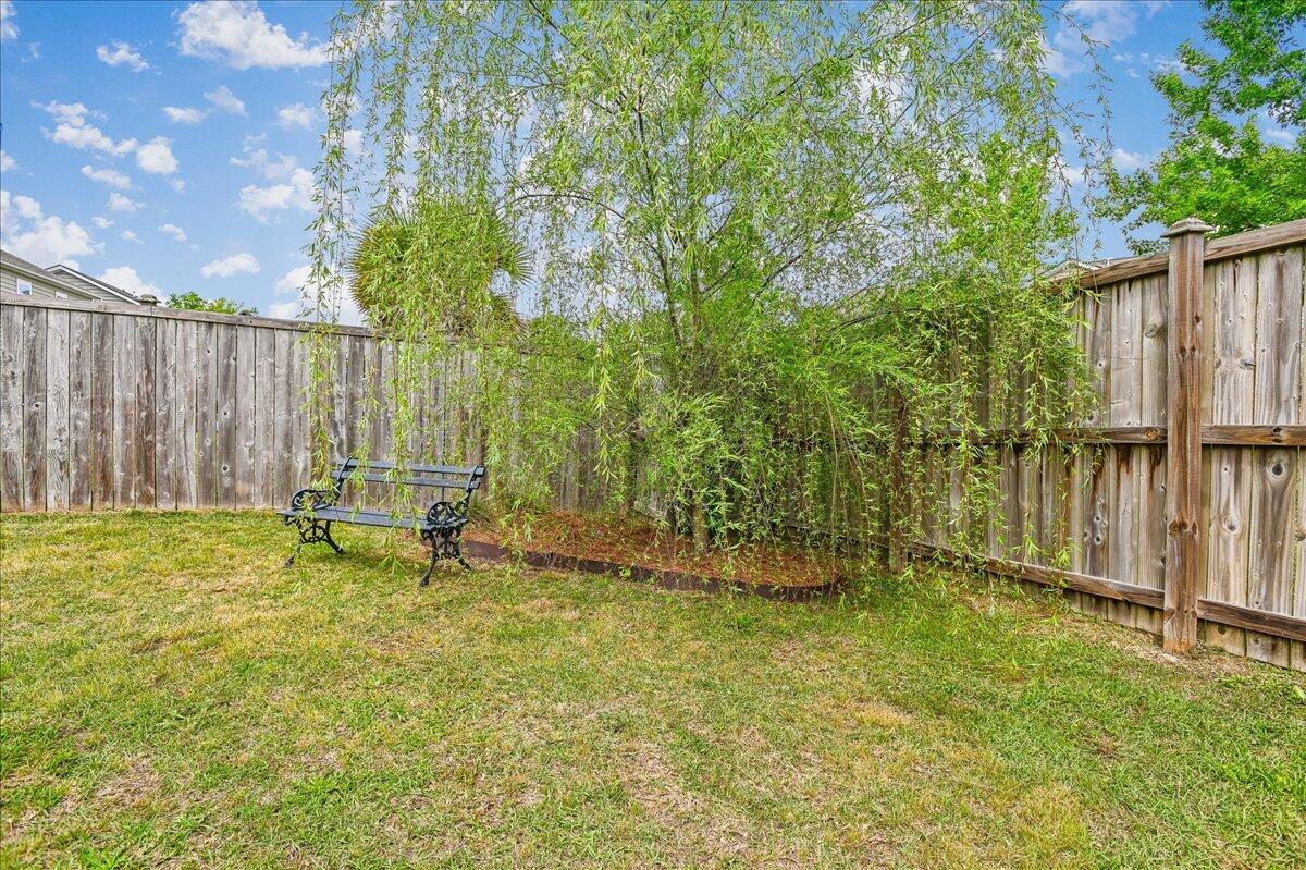 9906 Winged Elm Street