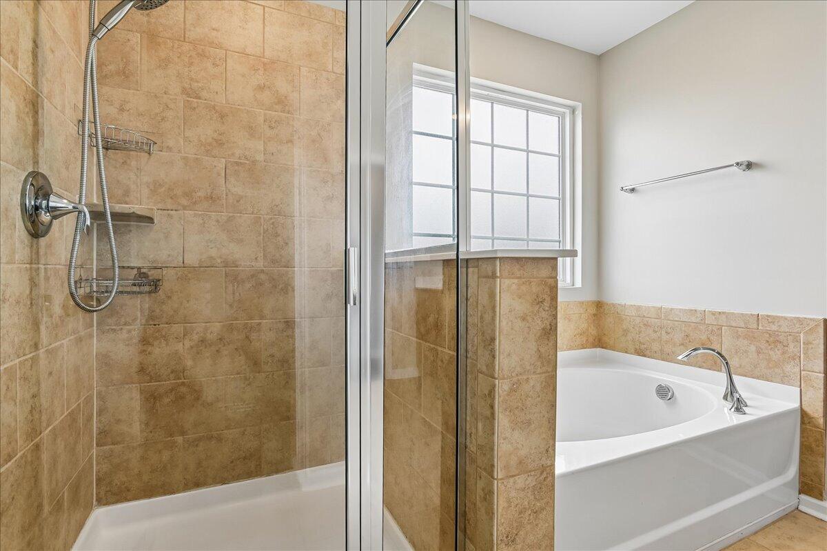 9906 Winged Elm Street