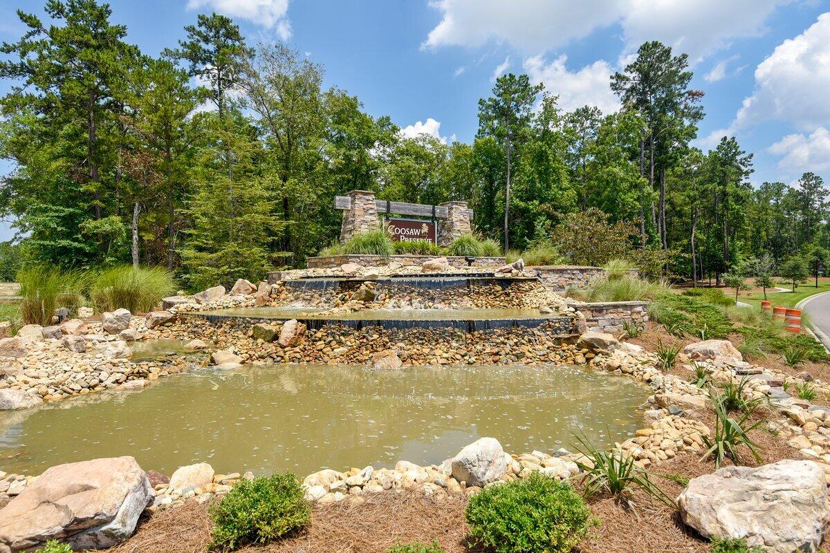 9906 Winged Elm Street