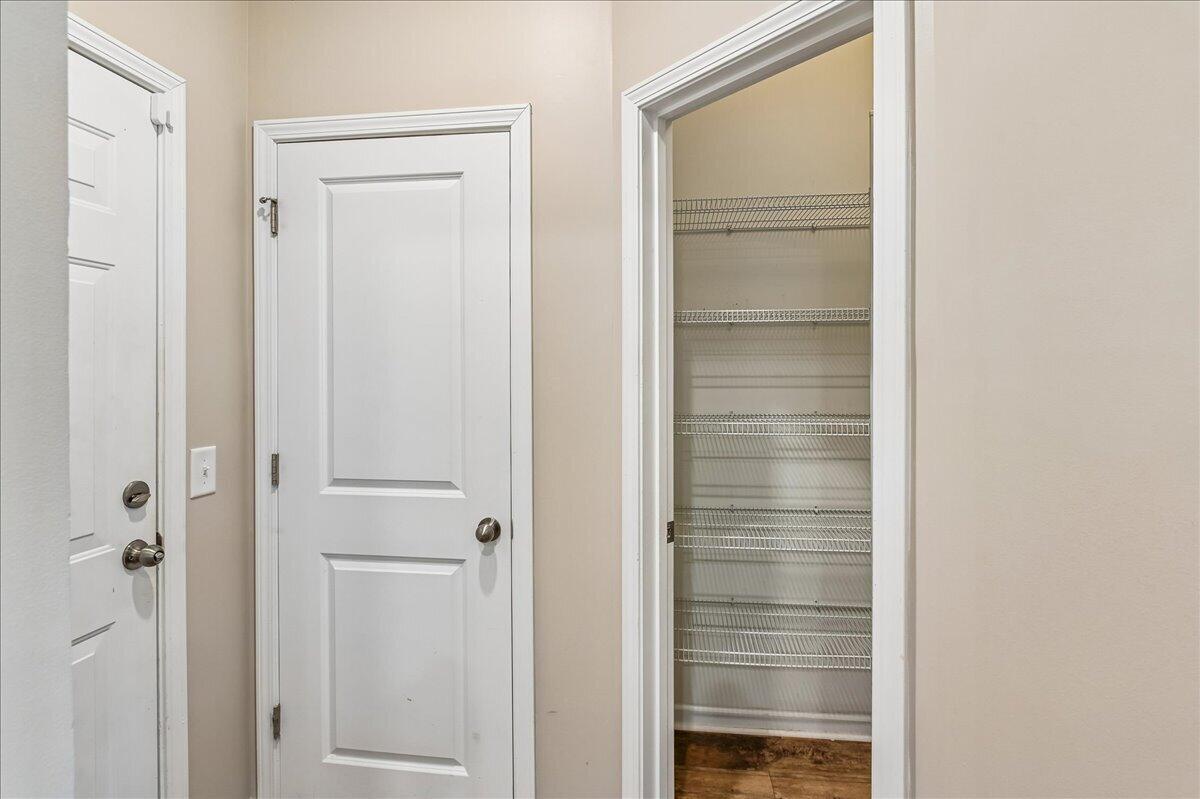 9906 Winged Elm Street