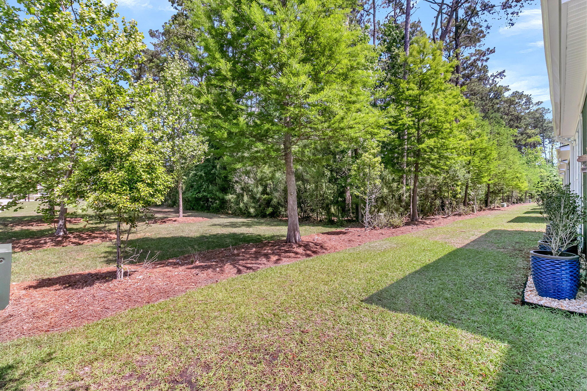 2422 Brackish Drive