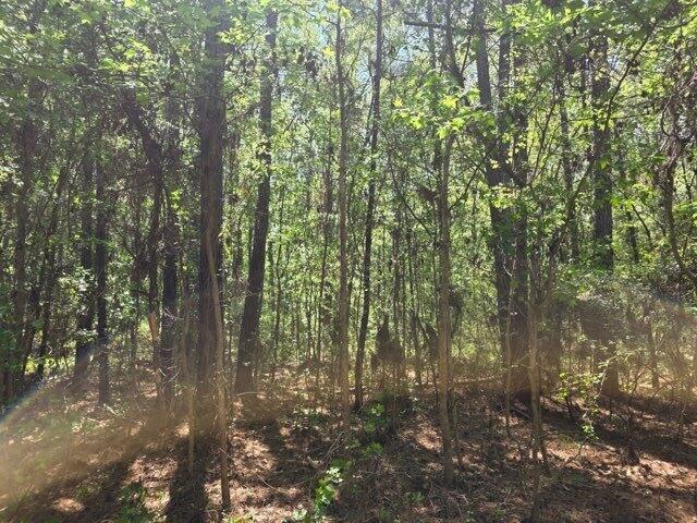 0 Bears Bluff Lot B