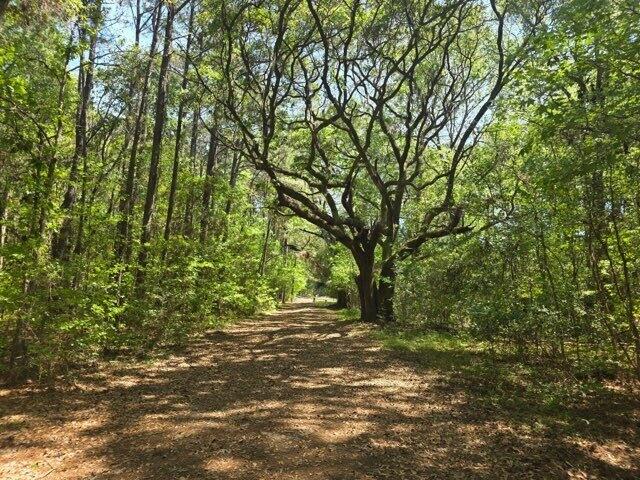 0 Bears Bluff Lot B