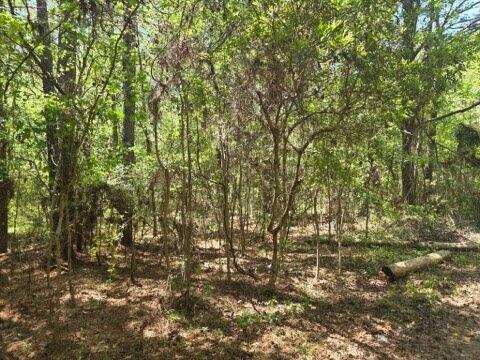 0 Bears Bluff Lot B
