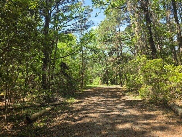 0 Bears Bluff Lot B