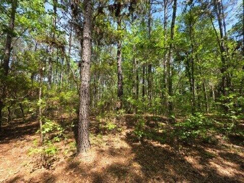 00 Bears Bluff Lot C