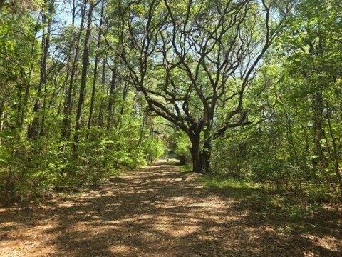 00 Bears Bluff Lot C