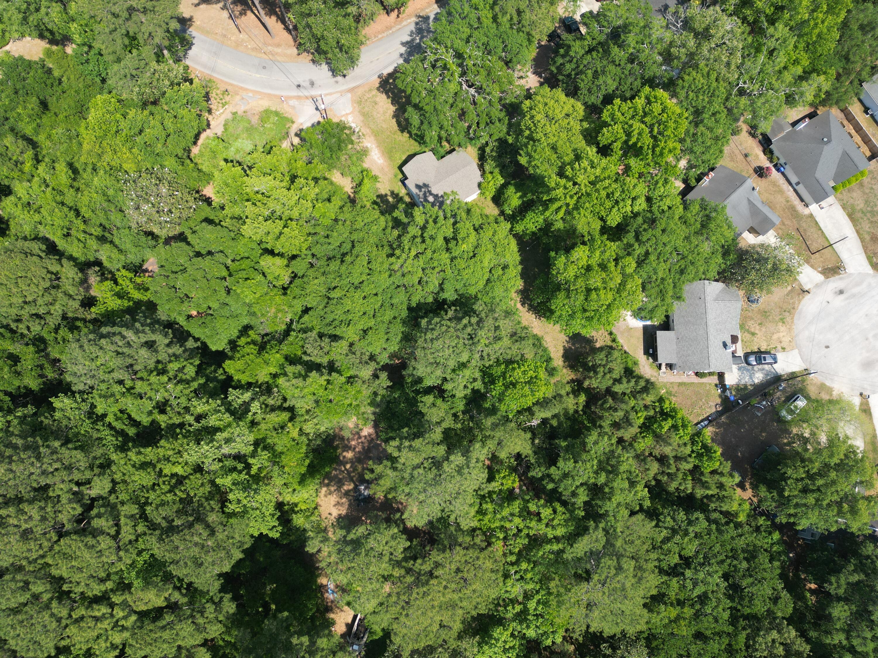 1738 Dogwood Road