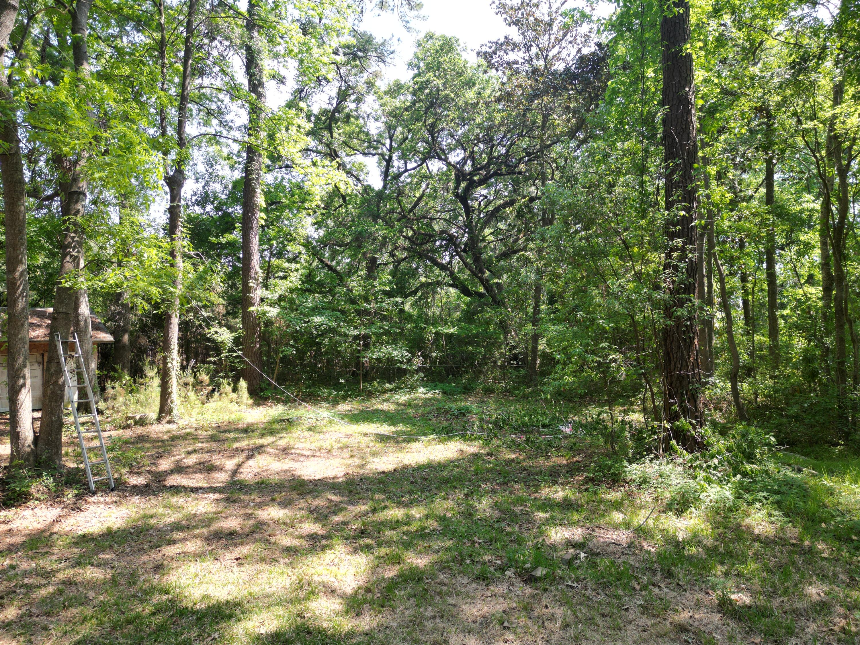 1738 Dogwood Road