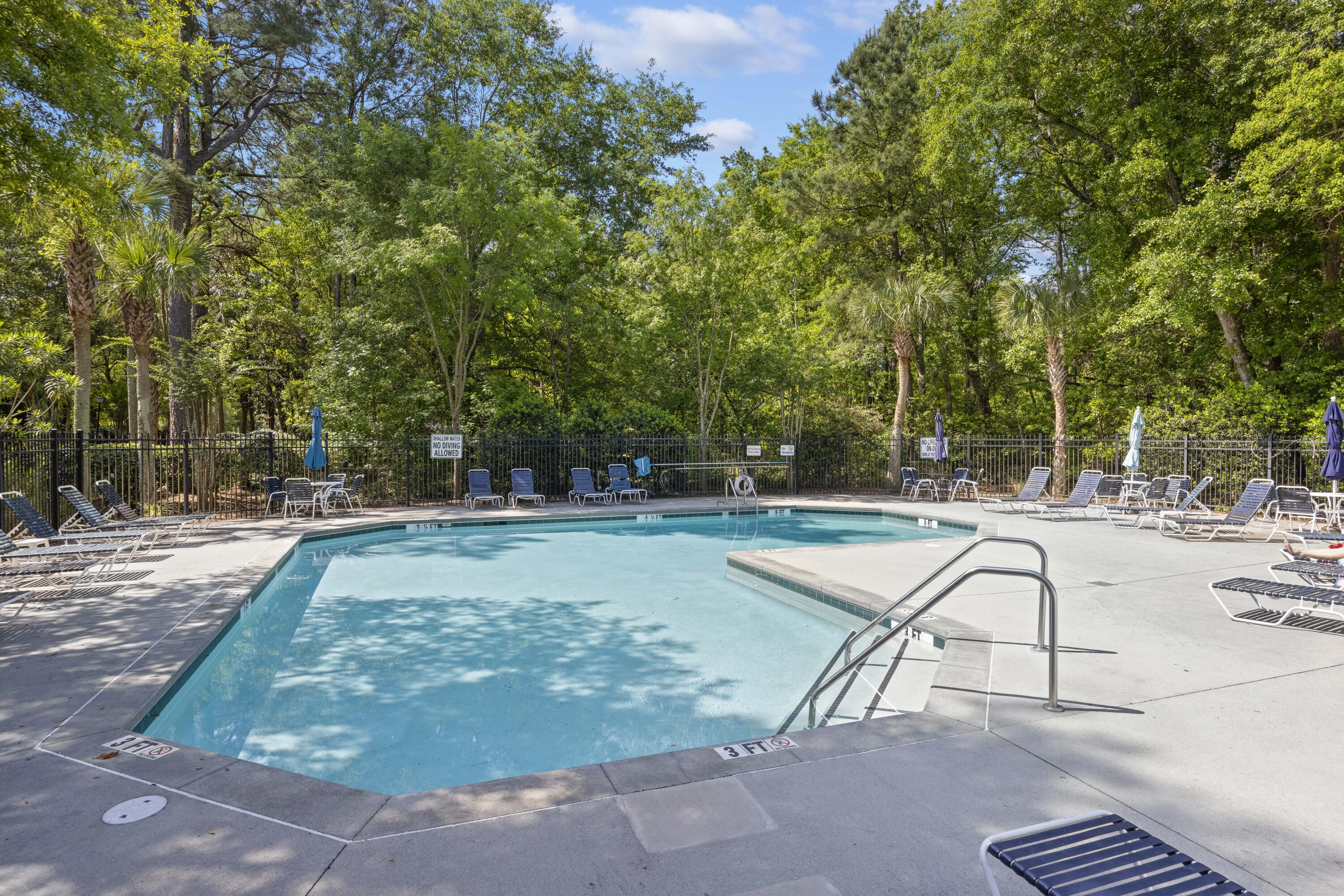 403 Tree Branch Circle