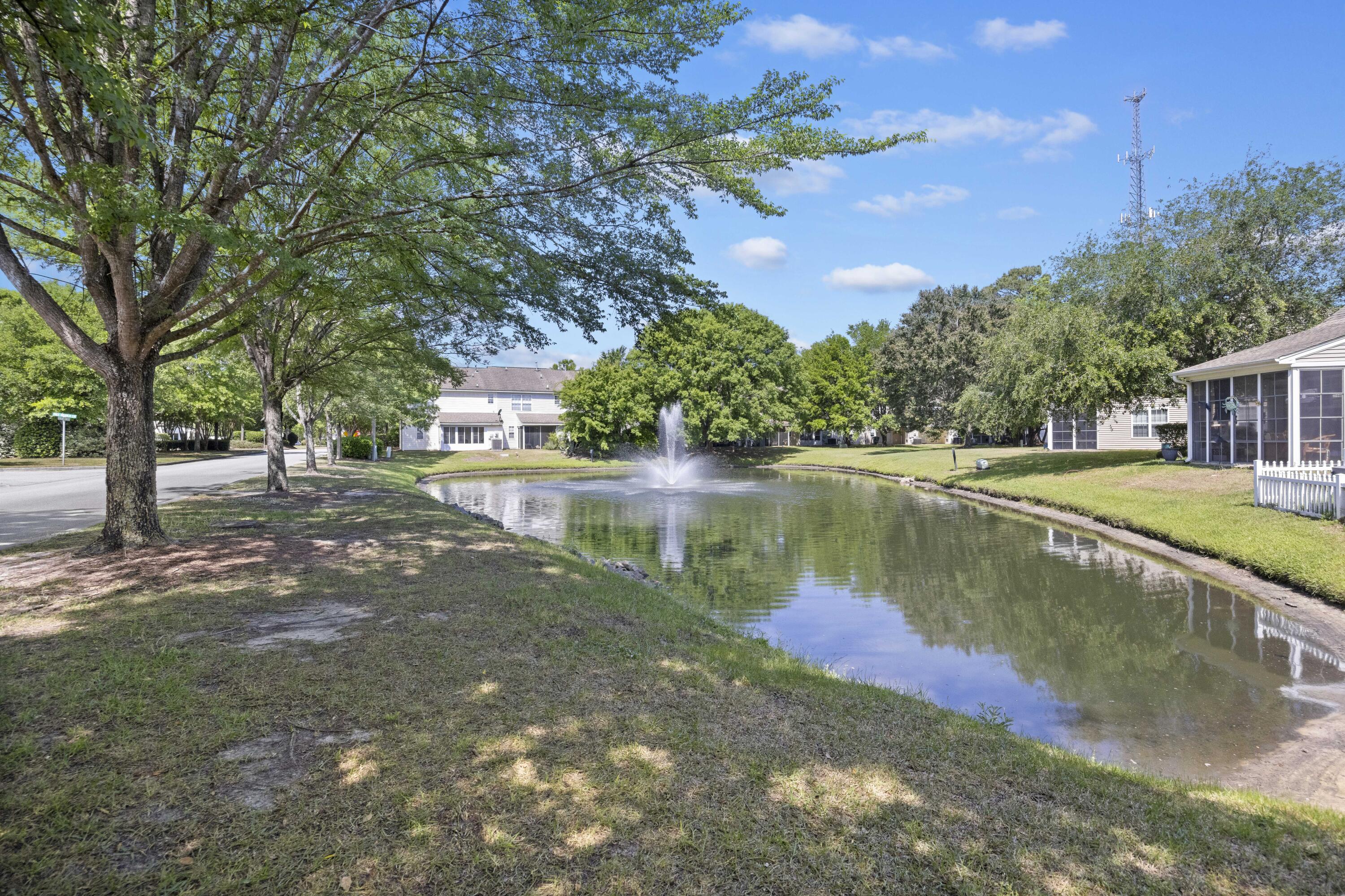 403 Tree Branch Circle