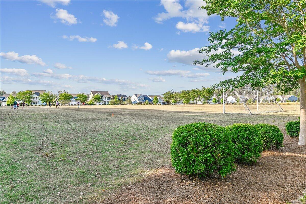 146 Brant Drive