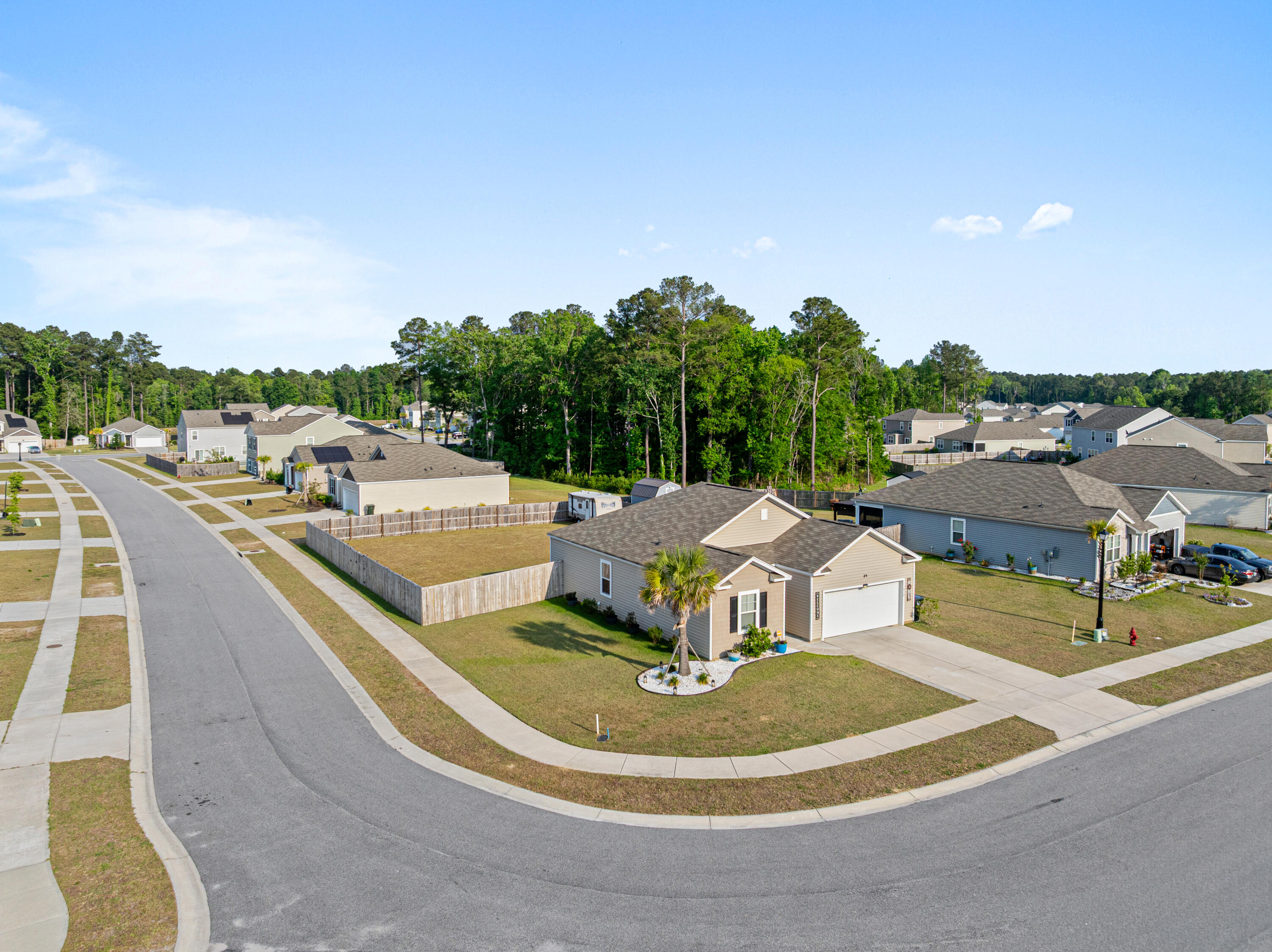 419 Blue Elderberry Run