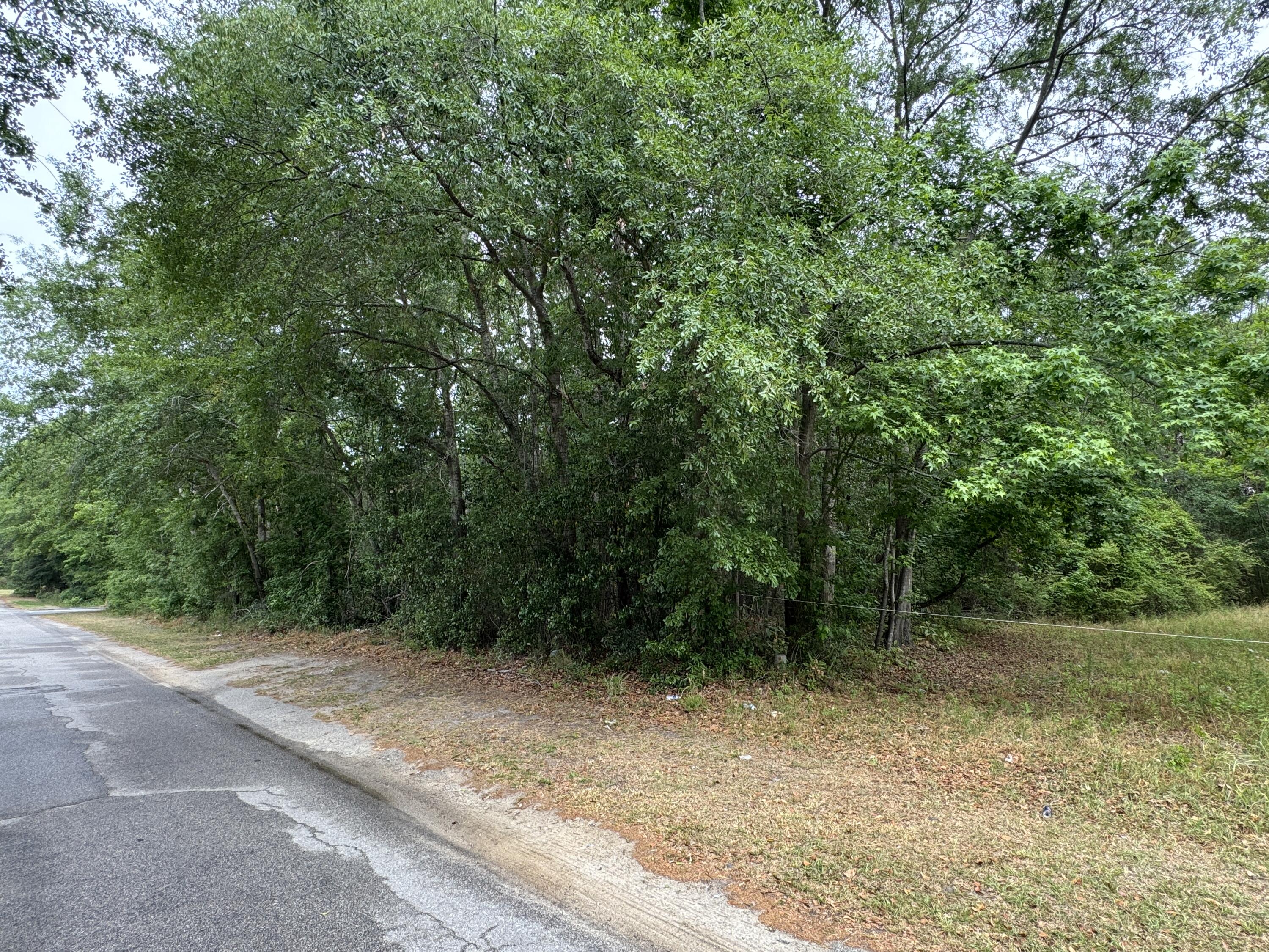 00 Ellis Avenue