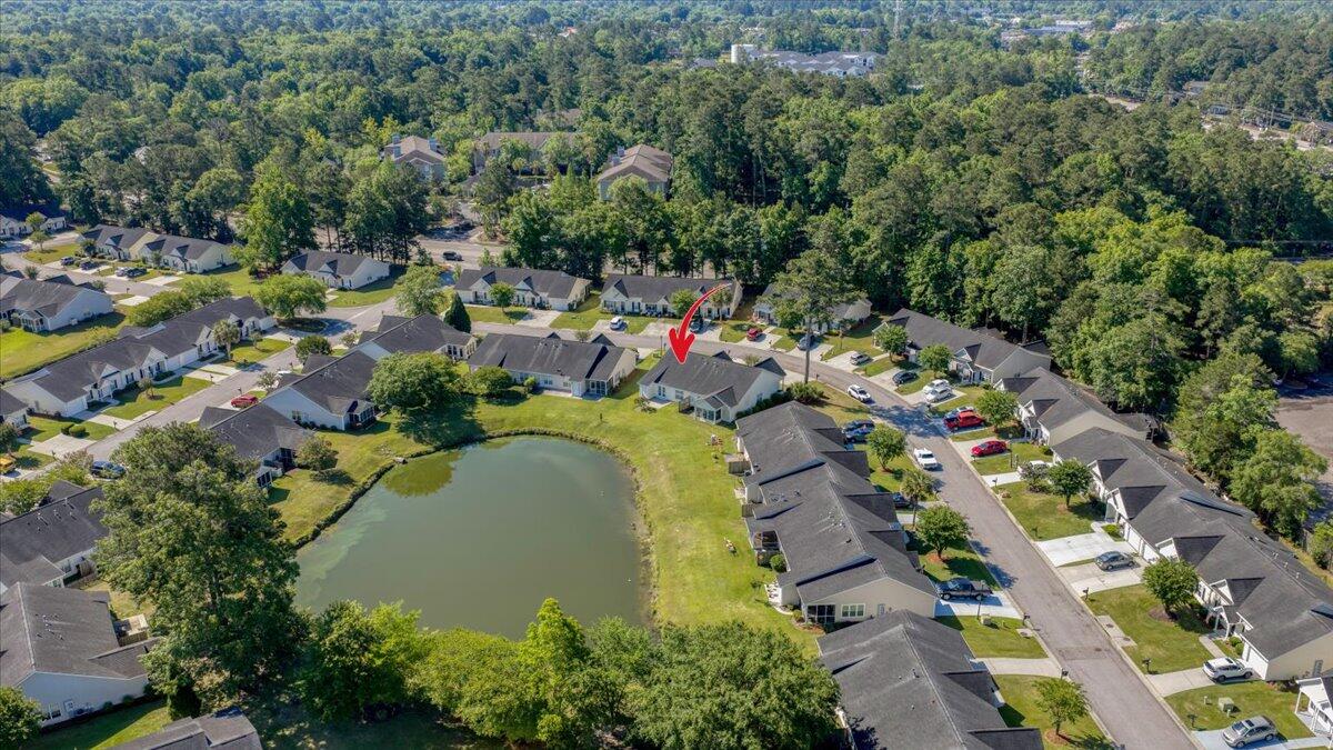 206 Dupont Way