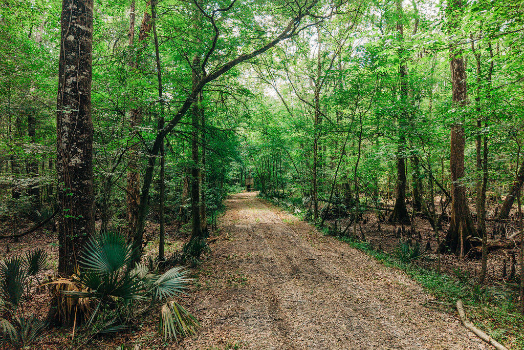0 Parnel Road