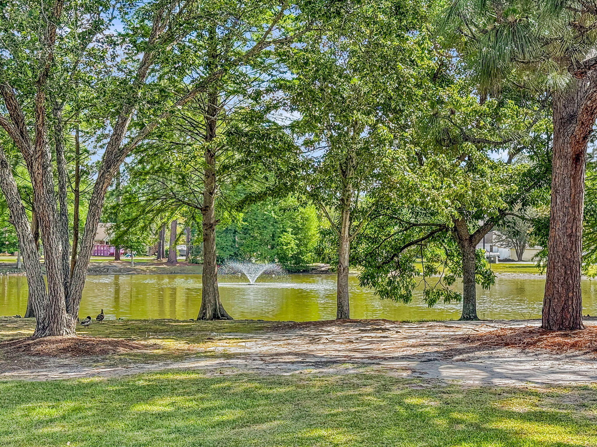 209 Longleaf Road