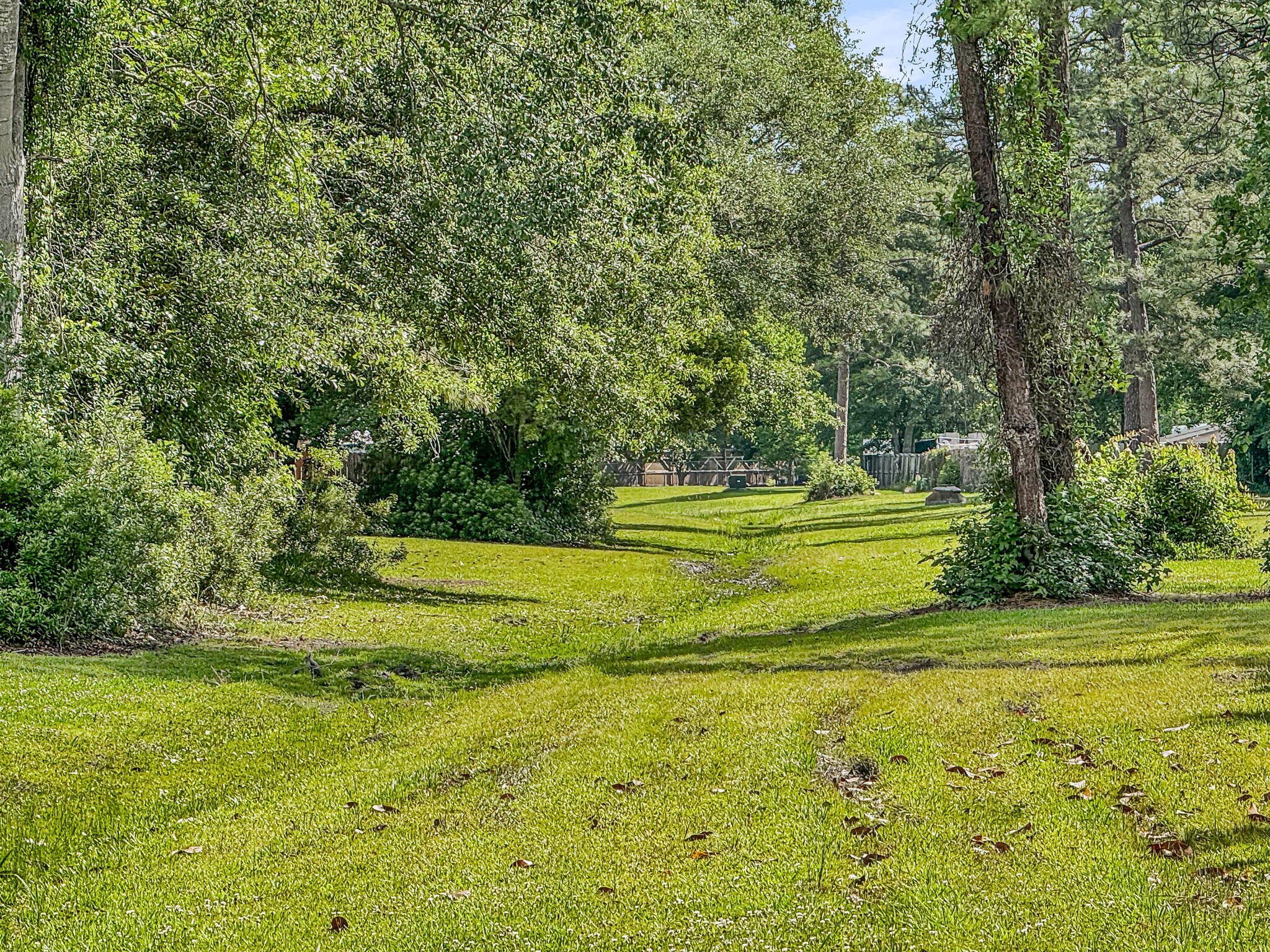 209 Longleaf Road