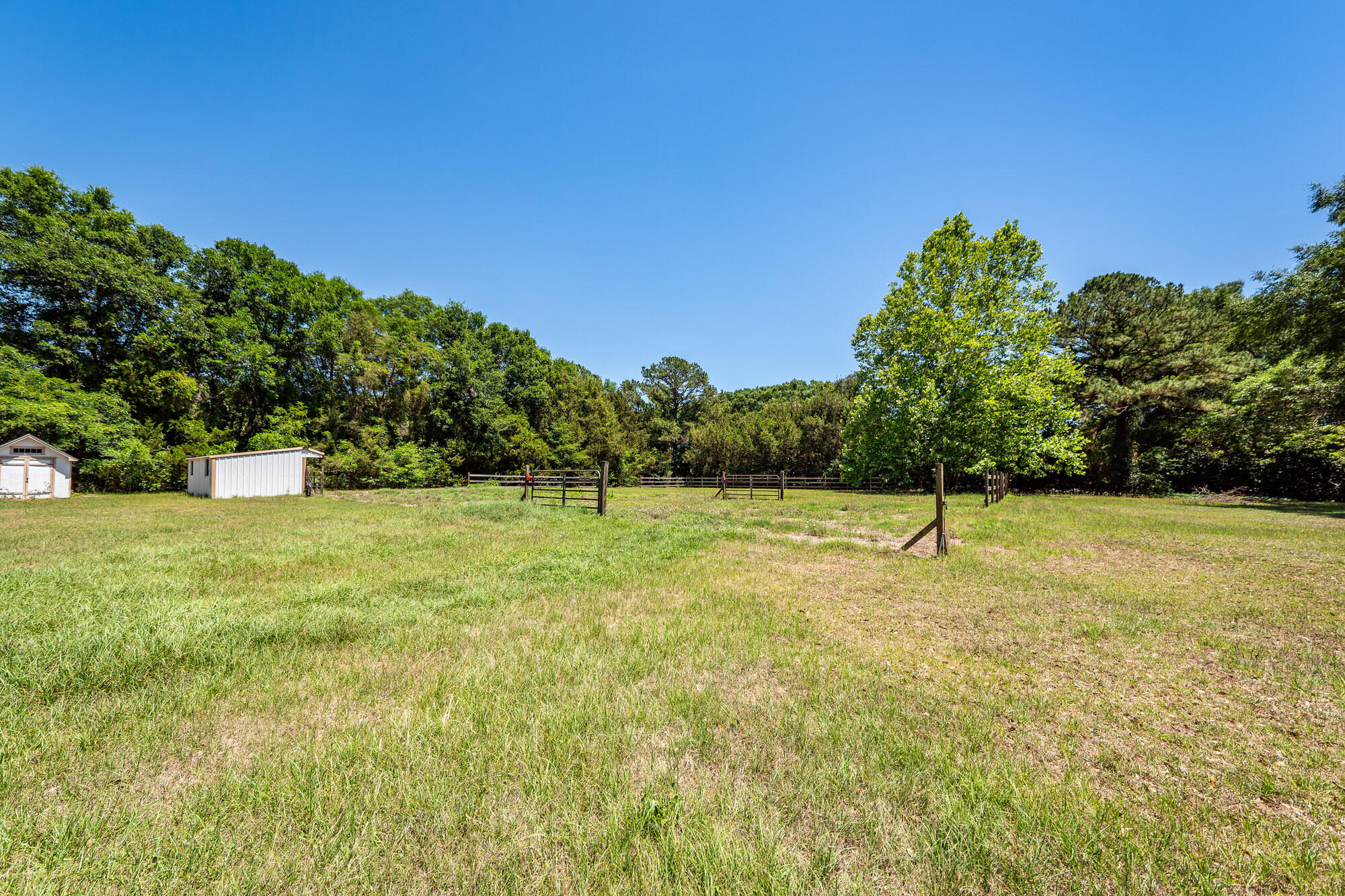6619 Bears Bluff Road