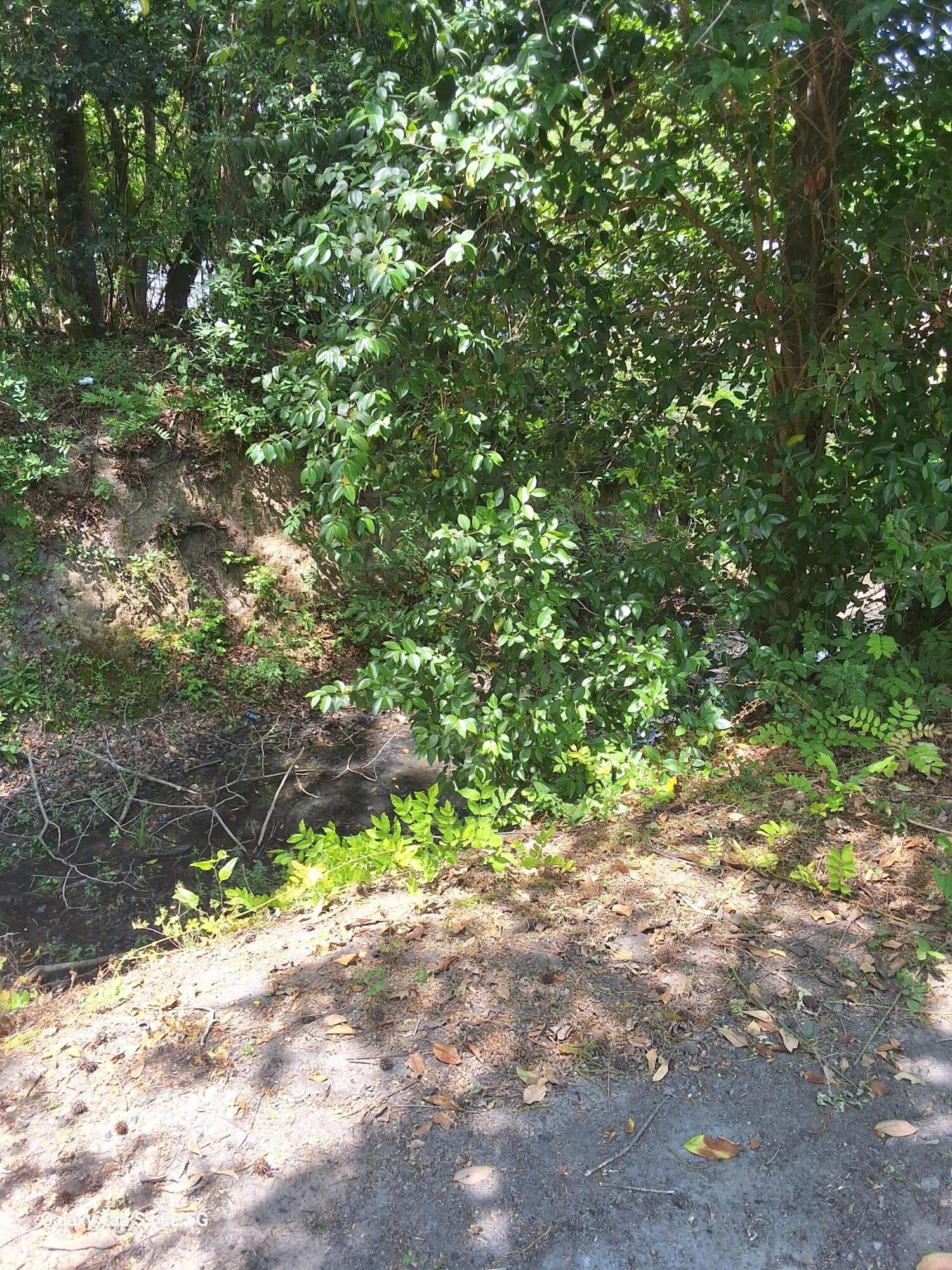 00 Palmetto Road