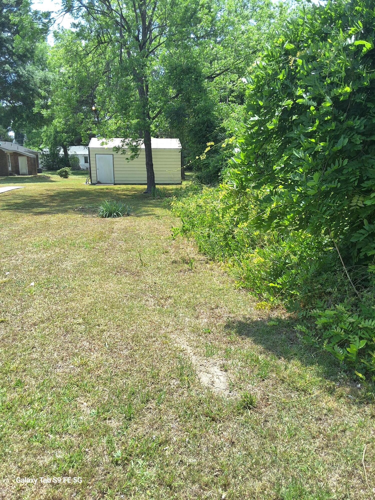00 Palmetto Road