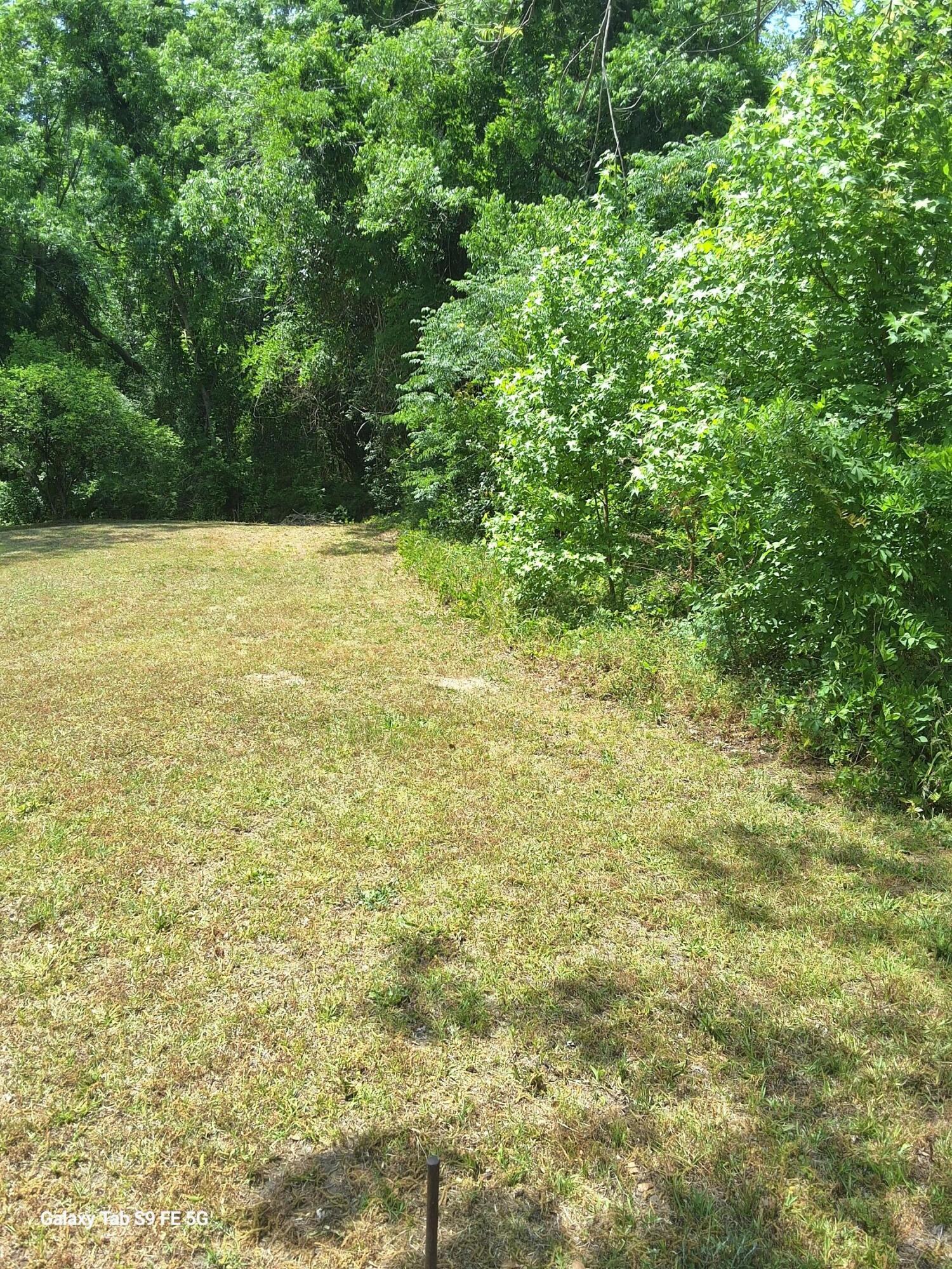 00 Palmetto Road