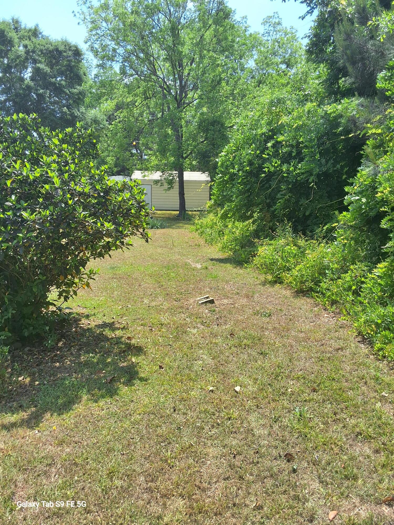 00 Palmetto Road