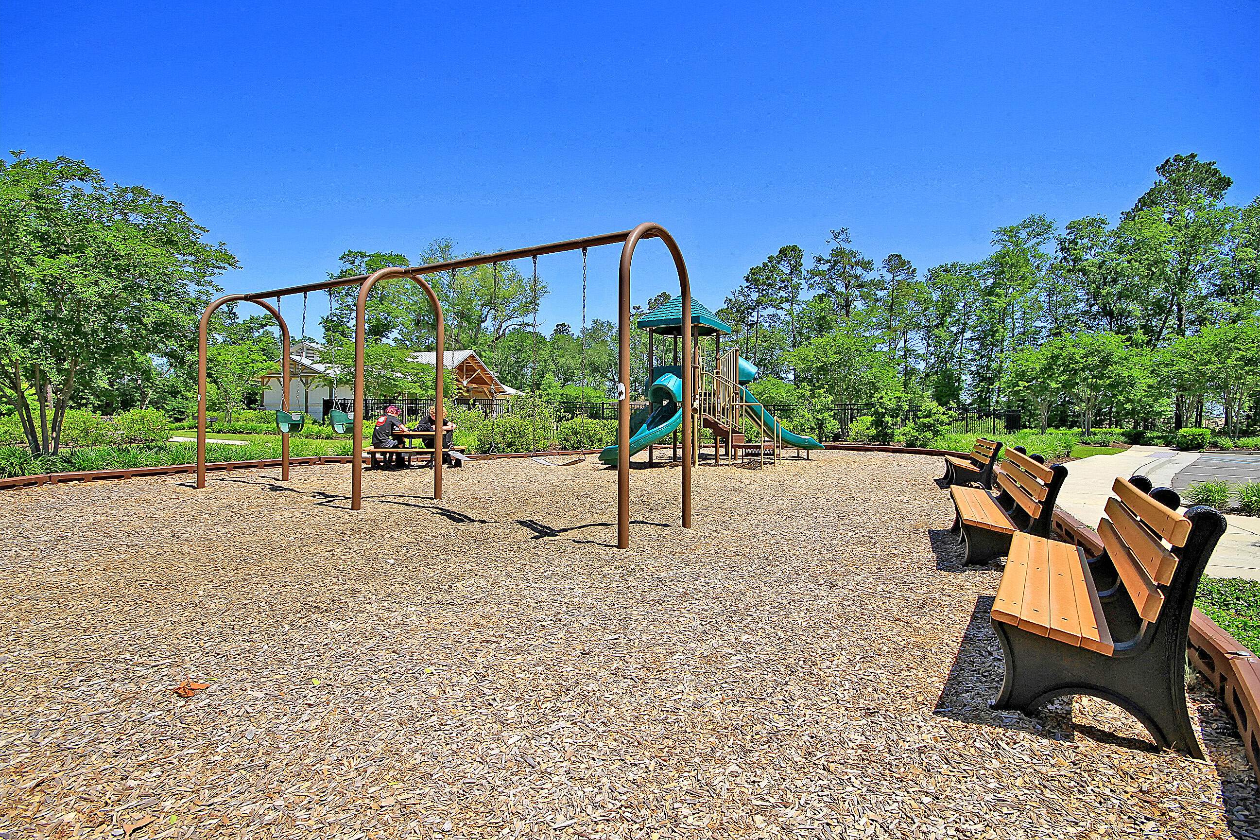 9831 Black Tupelo Lane